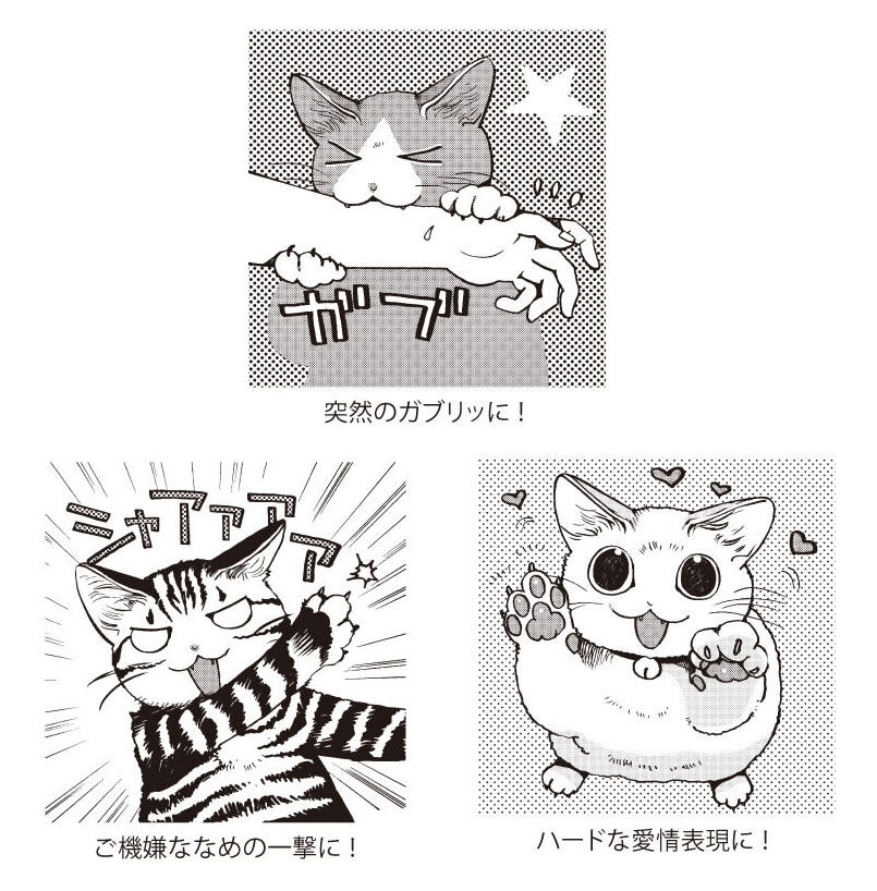 猫部|漫画家 山野りんりんさんとつくった　急な猫パンチにぺたり！　にゃんそうこう　パート3の会