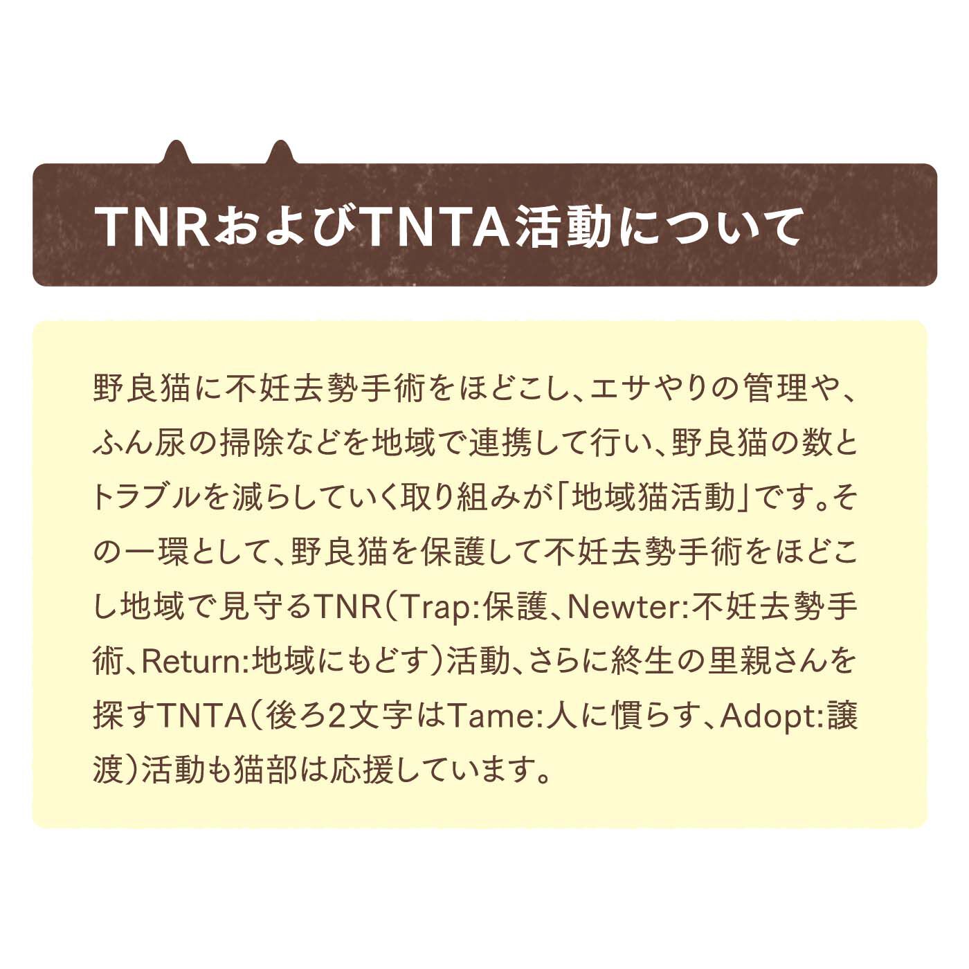 猫部|【6月分以降お届け】横内なおき×猫部　地域猫チャリティークリアファイルセット2024