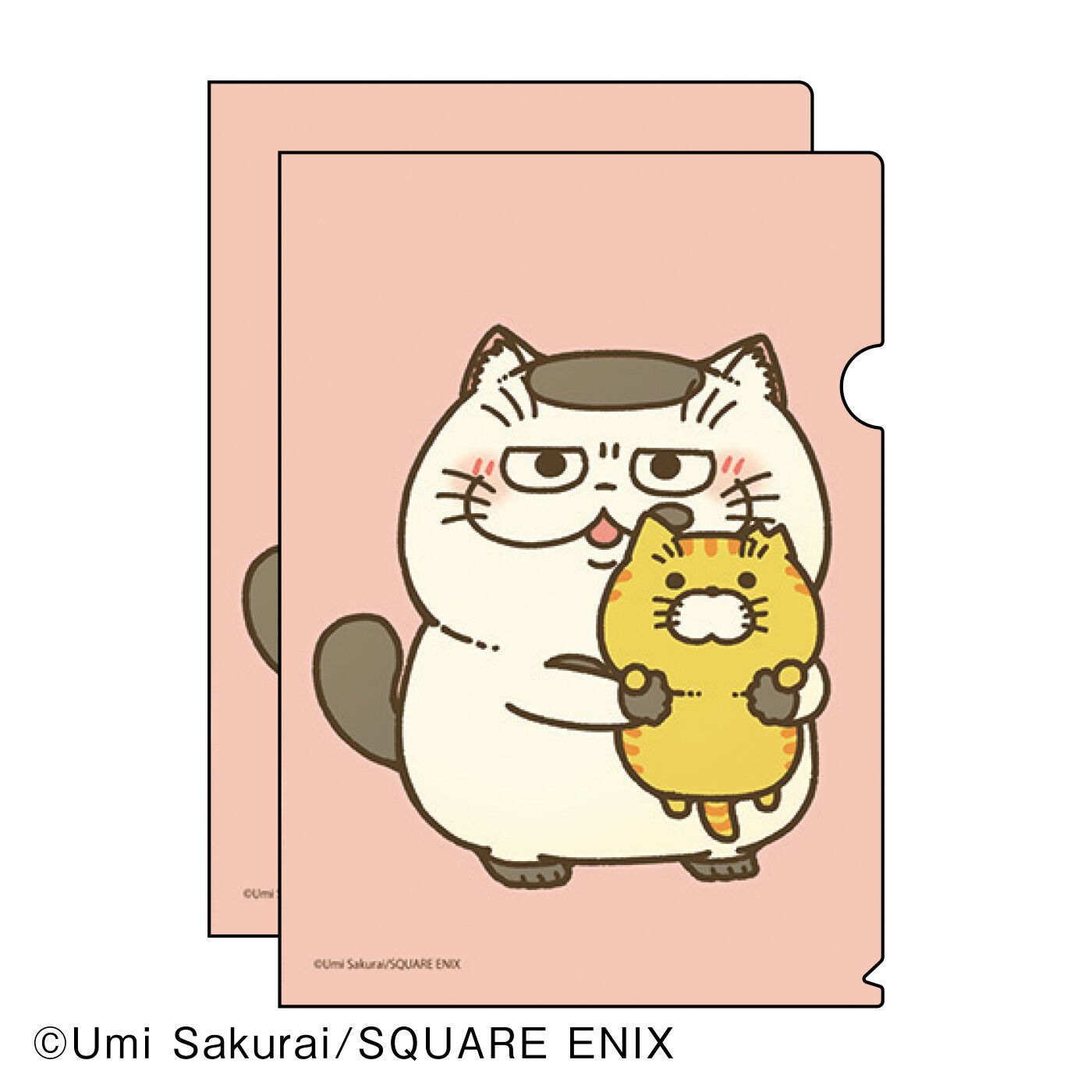 猫部|桜井海×猫部 地域猫チャリティークリアファイル2021