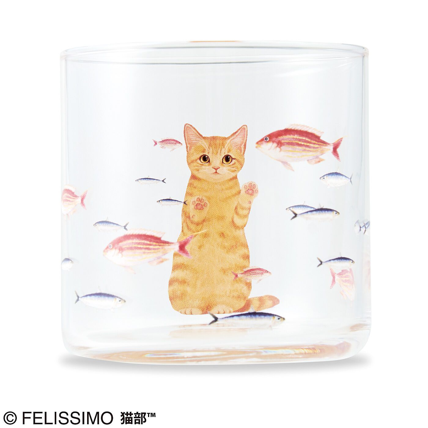 猫部|おいしそうだニャ～　猫さん夢の水族館グラスの会|〈茶トラ〉