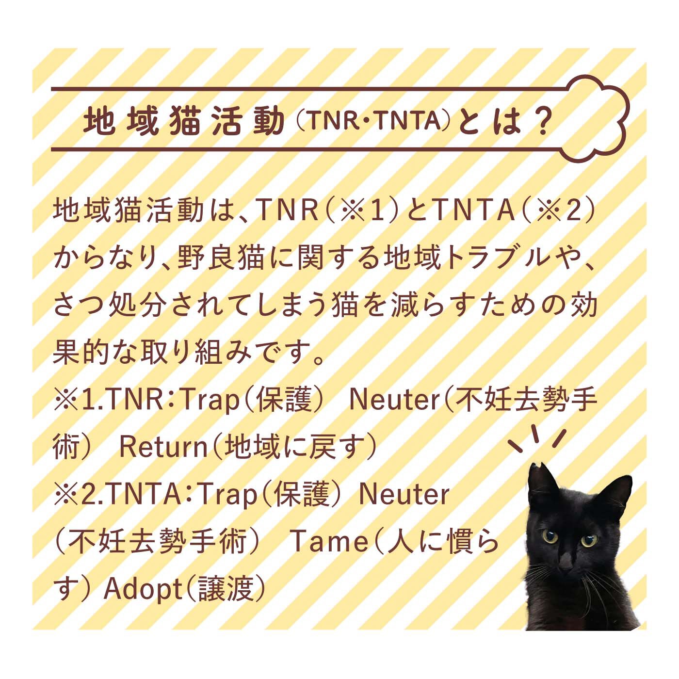 猫部|【6月分以降お届け】池田あきこ×猫部　地域猫チャリティーTシャツ2025