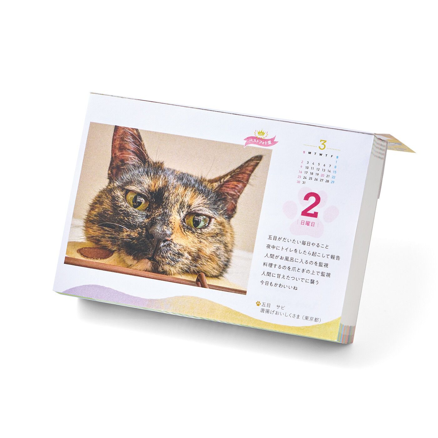 猫部|猫愛たっぷりな日めくりカレンダー　まいにちにゃんこ2025