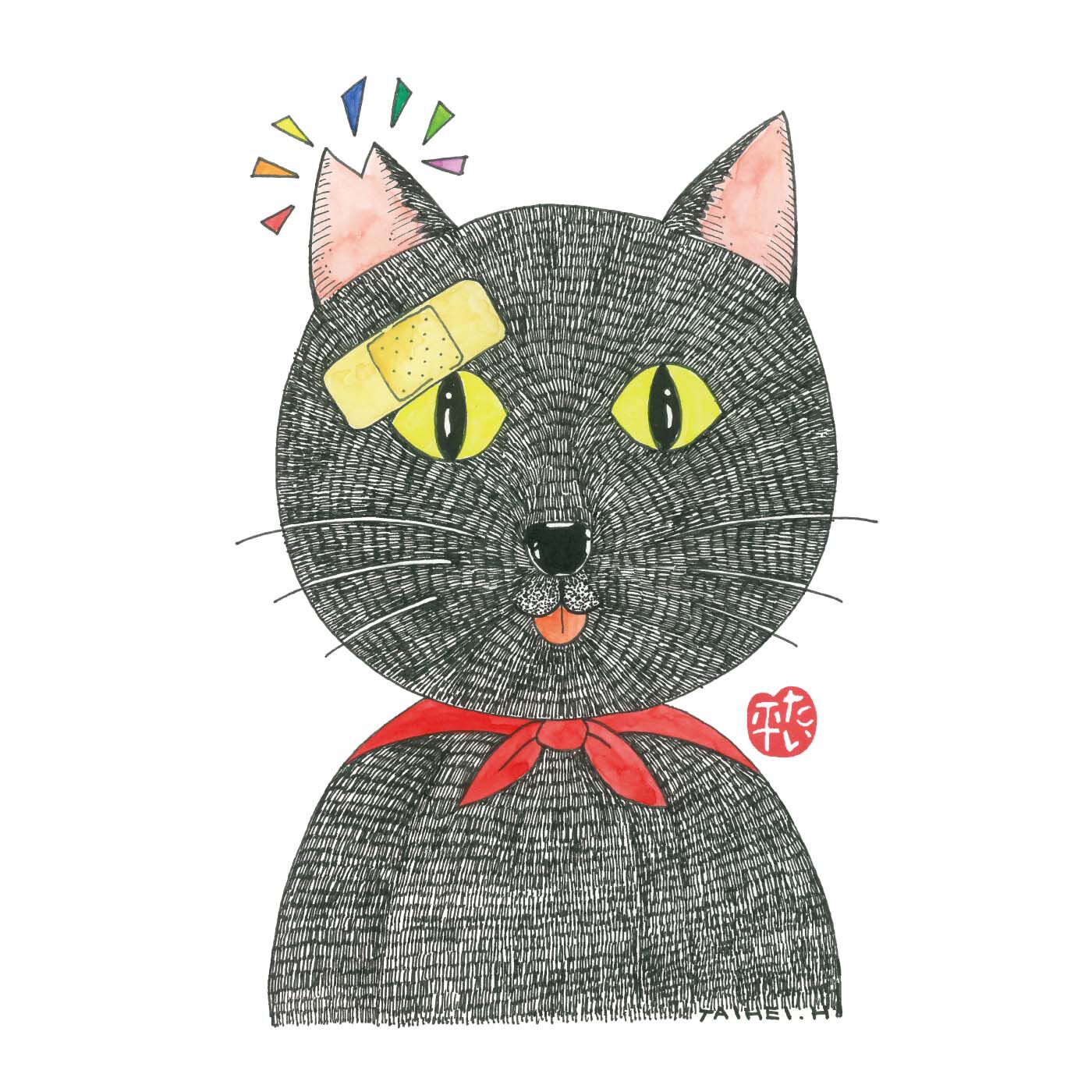 猫部|【6月分以降お届け】林家たい平×猫部　地域猫チャリティークリアファイルセット2025