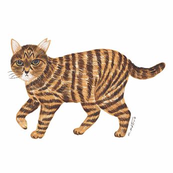 猫部 | 松尾ミユキ 地域猫ファイル2023