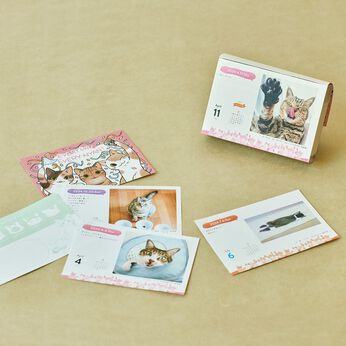 猫部 | 山野りんりんコラボまいにちにゃんこ２０２４