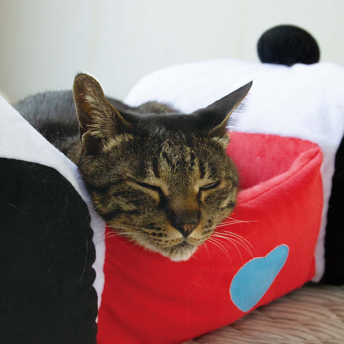 猫部|おうちで遊園地気分　猫用パンダカーベッド|猫があごをのせてくつろぎやすい高さに設計。