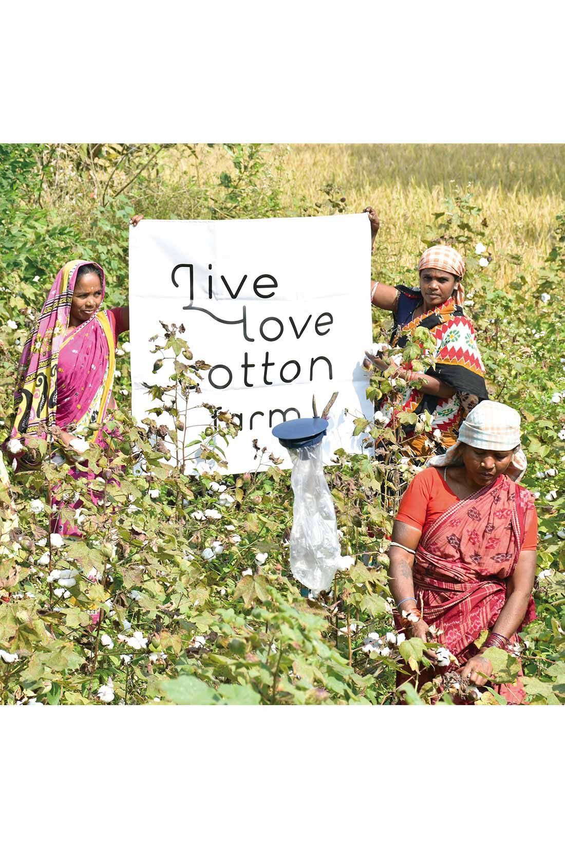 DRECO|【3～10日でお届け】Live love cotton（R）プロジェクト IEDIT[イディット]　デザインネックでデコルテ華やぐ　フレアースリーブカットソー〈イエロー〉