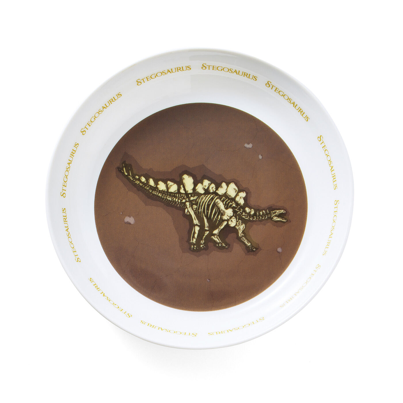 YOU＋MORE！［ユーモア］|YOU＋MORE！　食事中にまさかの発見　恐竜の化石発掘カレー皿の会|〈ステゴサウルス〉