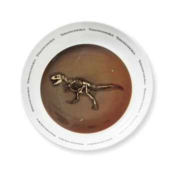 YOU+MORE! | 食事中にまさかの発見化石発掘カレー皿