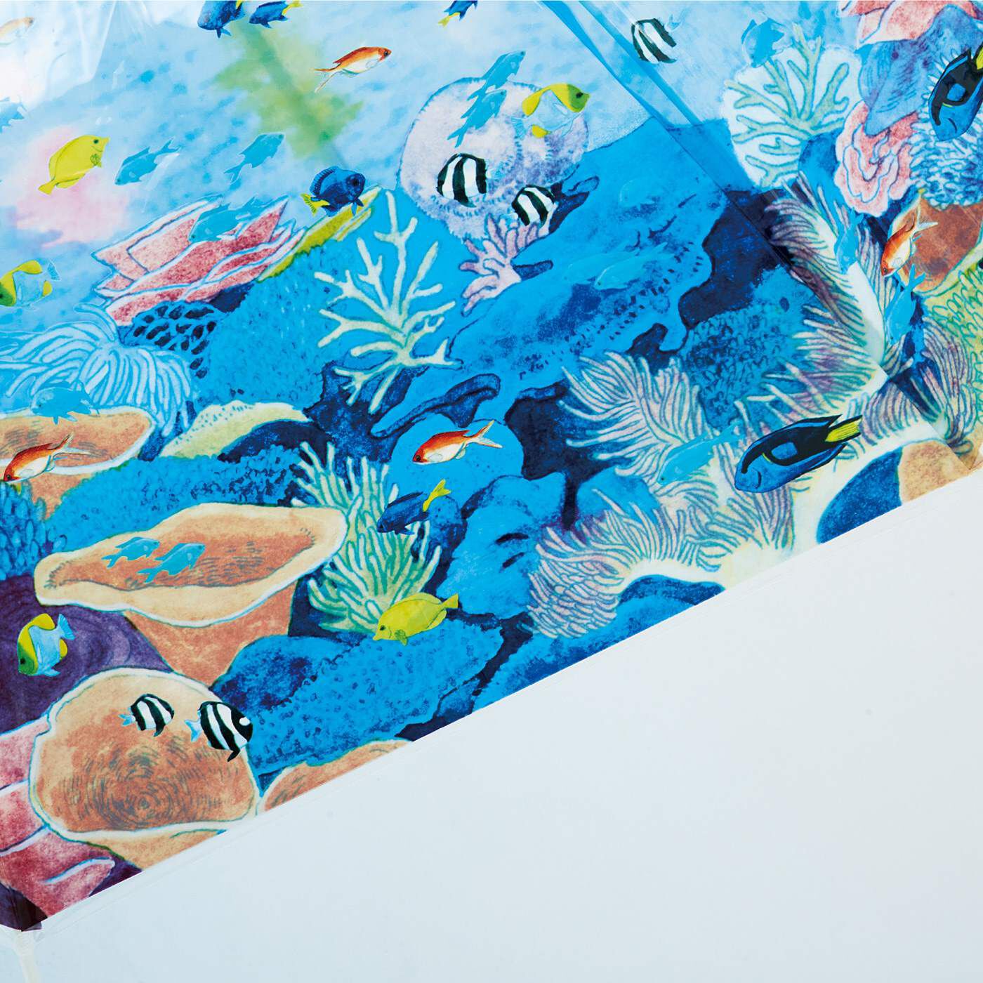 YOU+MORE!|YOU＋MORE!　まるで水族館　ライブコーラル水槽の透明傘|実際の水槽にいる魚やサンゴが描かれています。