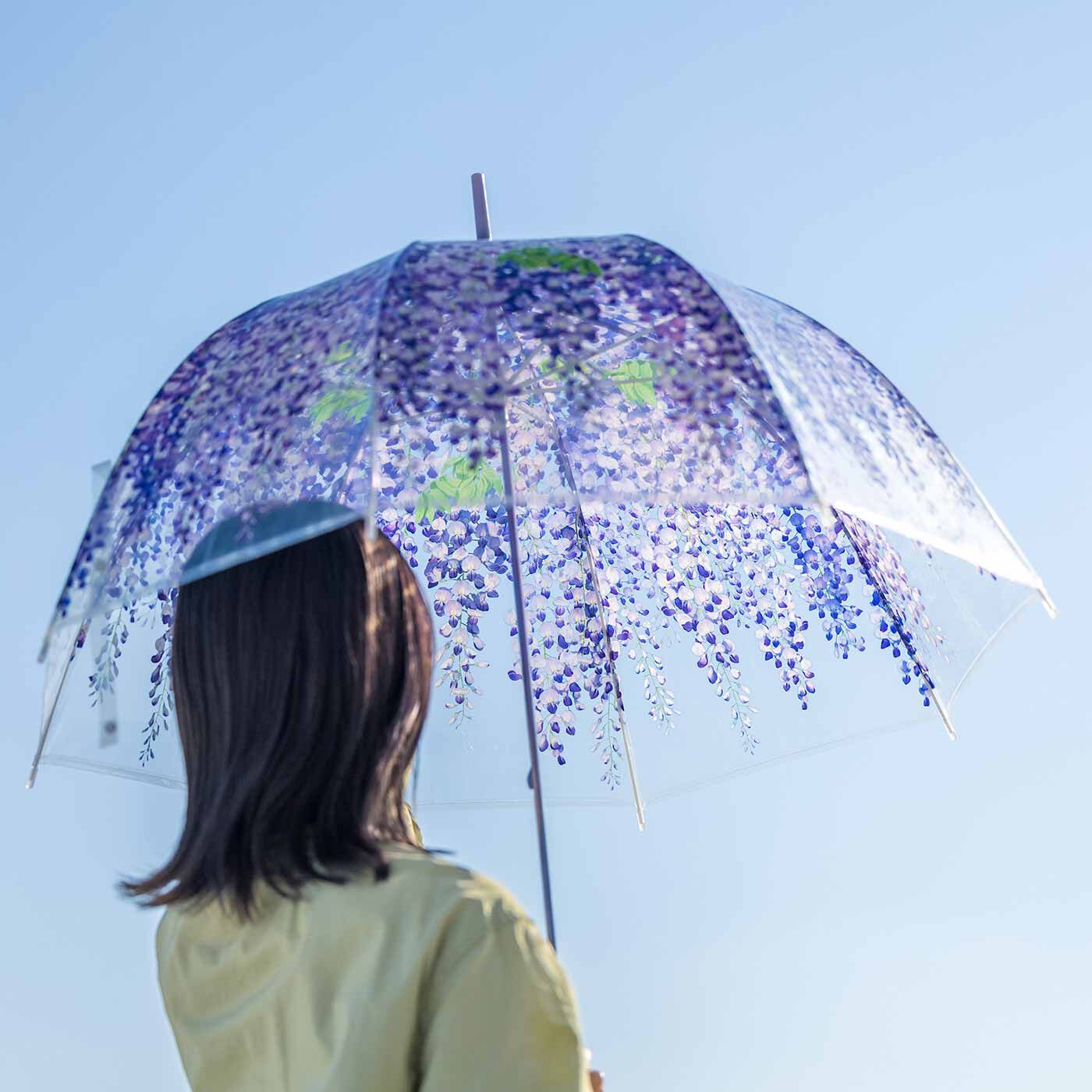 YOU＋MORE！ 雨空から降りそそぐ藤棚の傘の会｜YOU+MORE