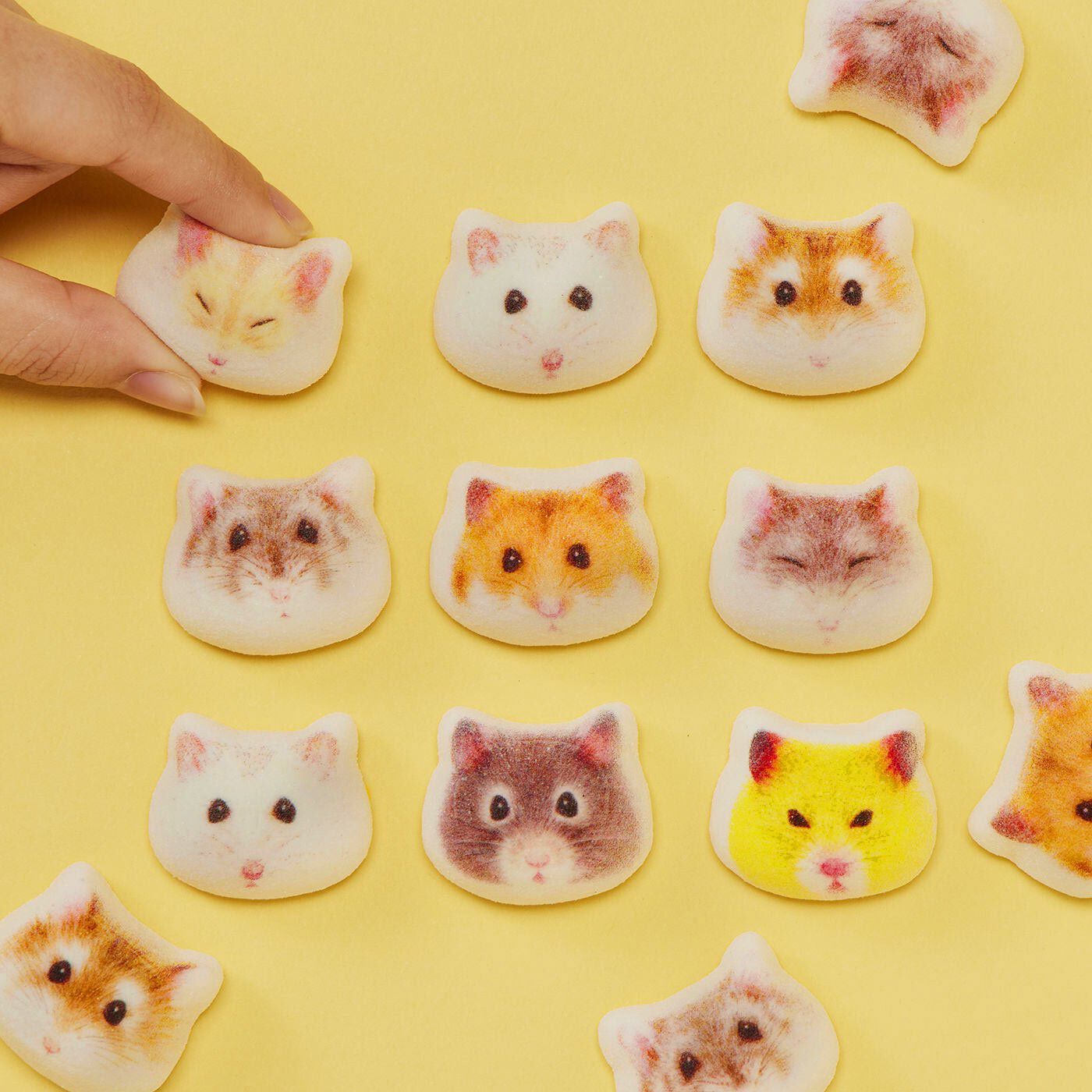YOU＋MORE！［ユーモア］|YOU+MORE!　ほっぺをフニフニしたくなる ハムスターのミニ和風マシュマロ〈チョコ餡〉15個入り