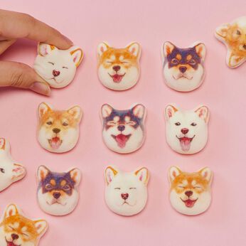 YOU＋MORE！［ユーモア］ | ミニ和風マシュマロ柴犬ほうずい１５個入り