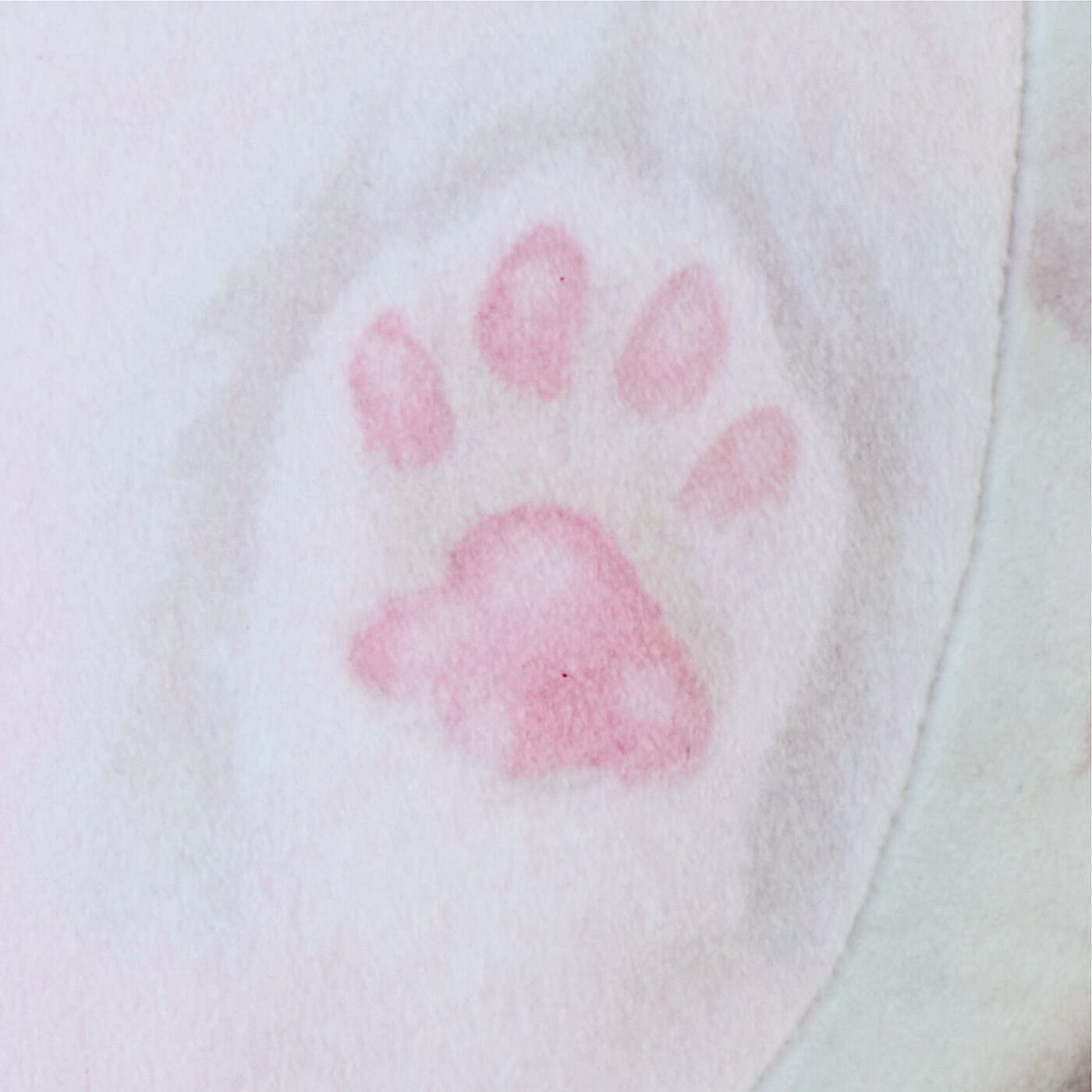 YOU+MORE!|YOU＋MORE!　まんまるころころ　アラスカンマラミュートの子犬実寸大クッションの会|足裏のピンクの肉球までしっかり再現！