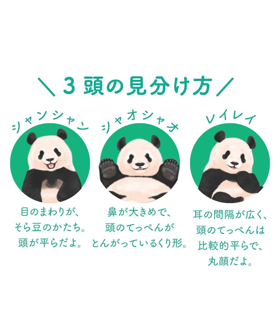 YOU＋MORE！［ユーモア］|YOU+MORE!　パンダ３きょうだい　シャンシャン・シャオシャオ・レイレイ　もこもこ刺しゅうフラットポーチ