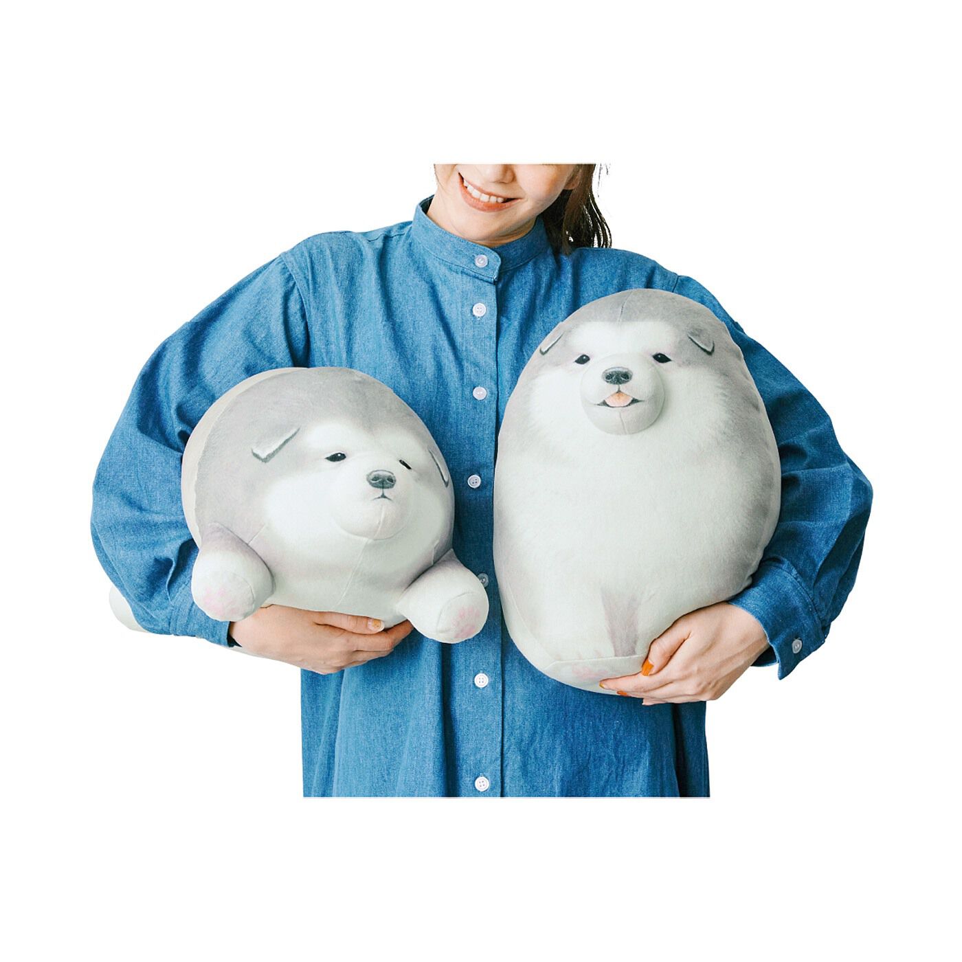 YOU＋MORE！［ユーモア］|YOU＋MORE!　まんまるころころ　アラスカンマラミュートの子犬実寸大クッションの会