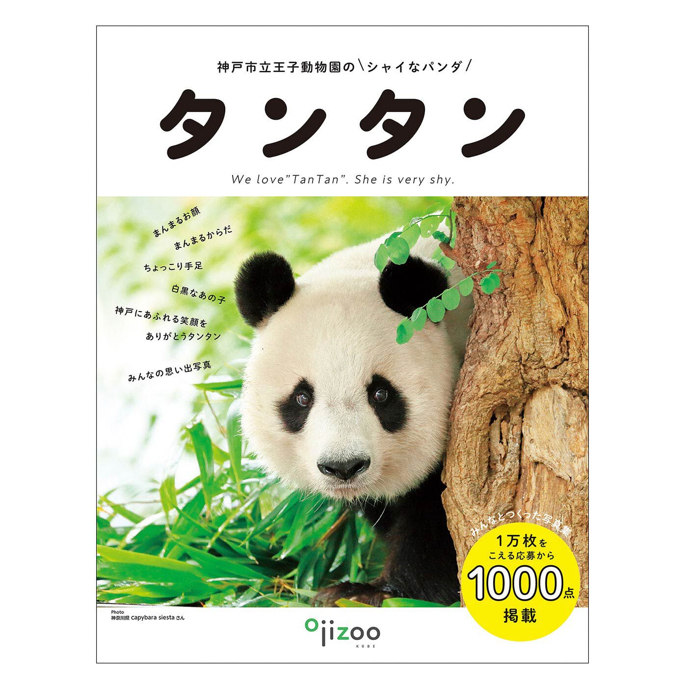 YOU+MORE!|YOU+MORE!　写真集『神戸市立王子動物園のシャイなパンダ　タンタン』