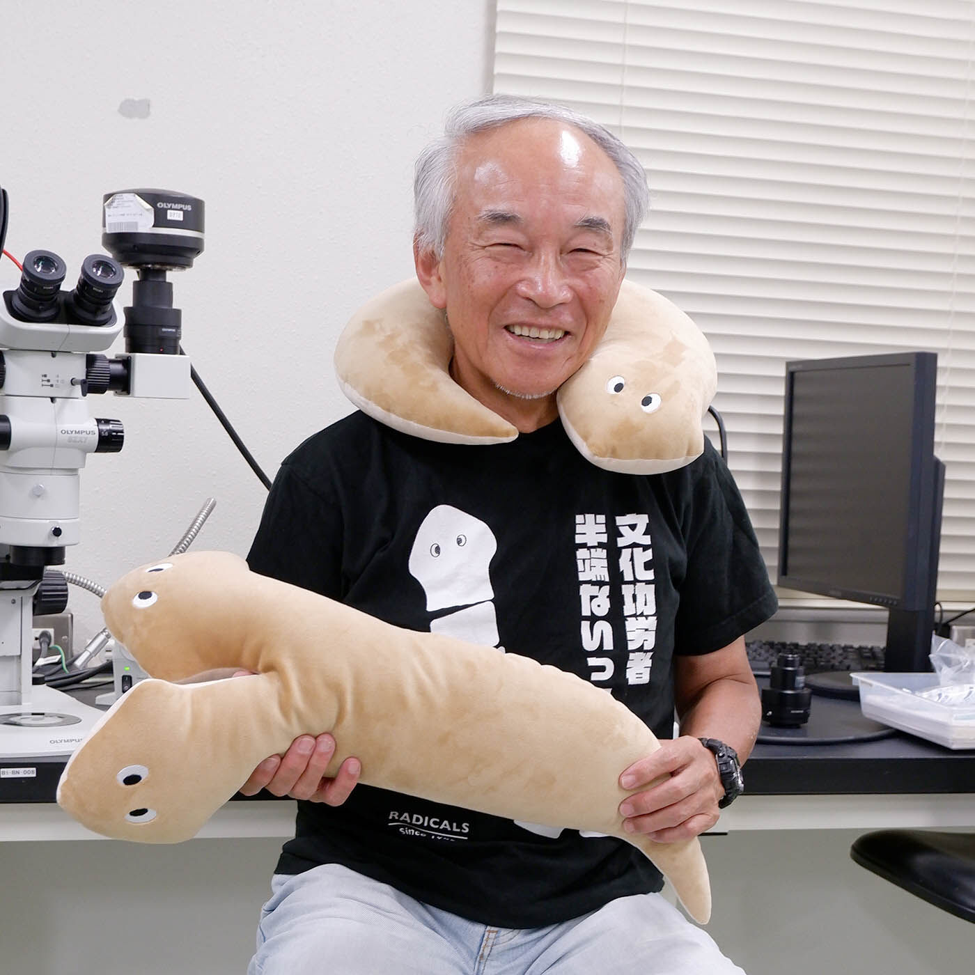 YOU＋MORE！［ユーモア］|YOU＋MORE!　いろんな形で暮らしにフィット　プラナリアクッションの会|基礎生物学研究所　阿形清和所長