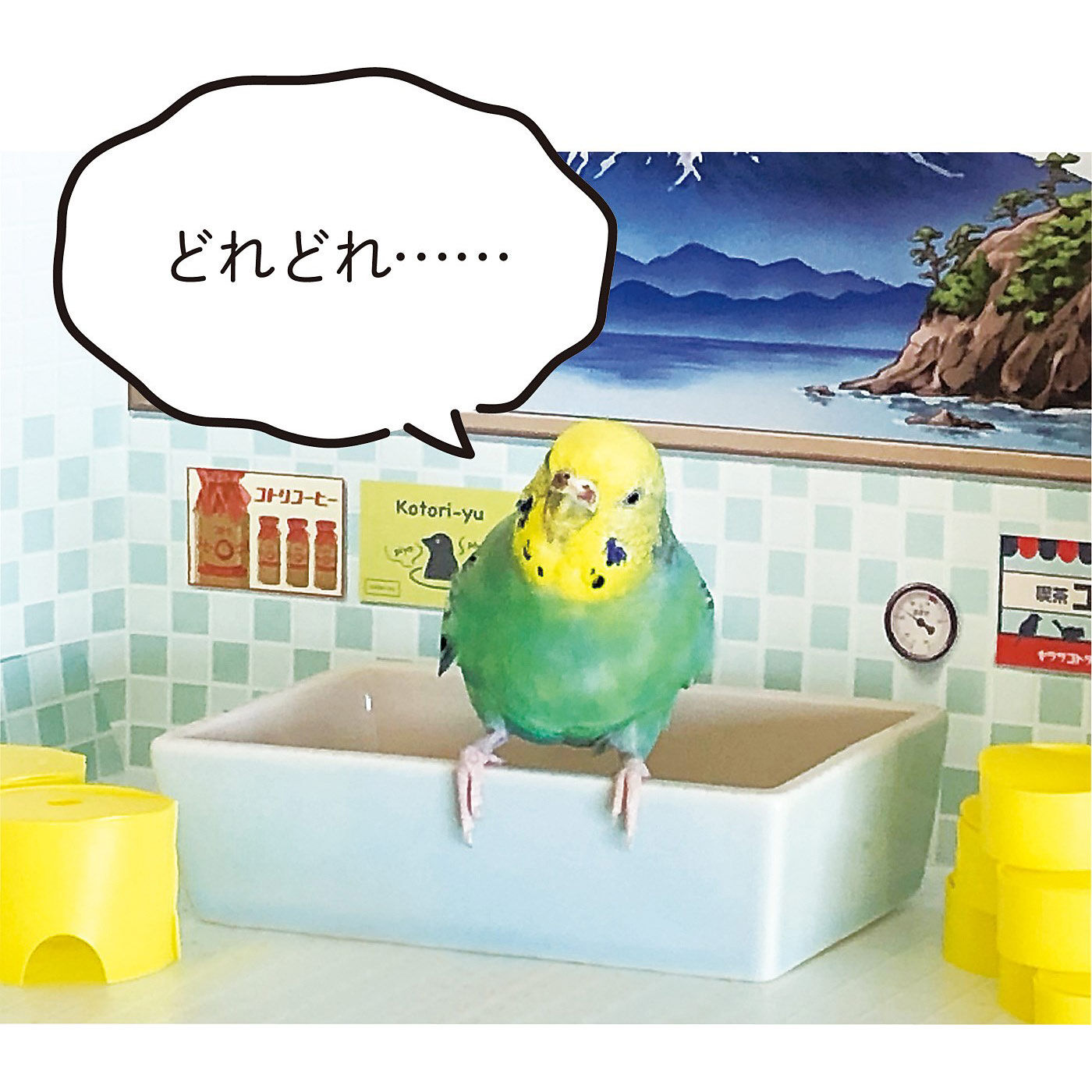 YOU+MORE!|YOU+MORE!×小鳥部　レトロなお風呂で水浴びできちゃう バード銭湯