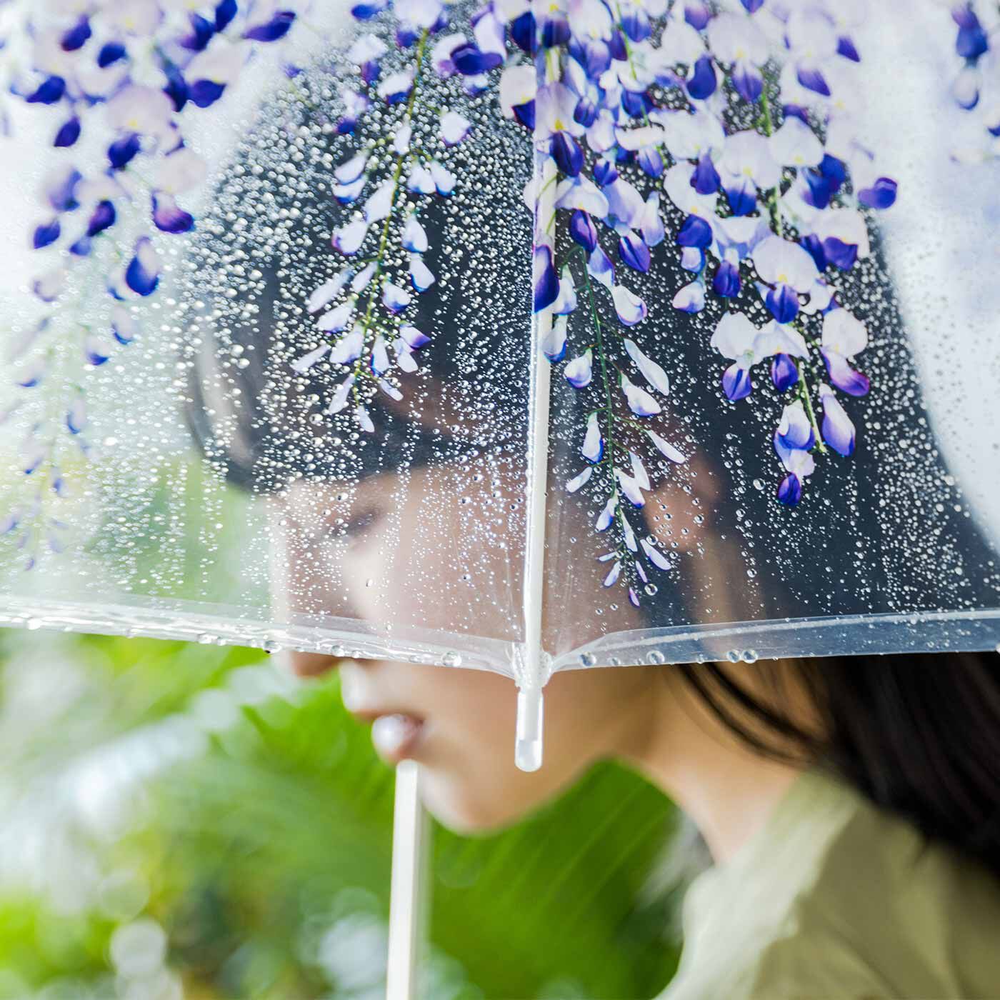 雨空から降りそそぐ藤棚の傘│YOU+MORE！│フェリシモ