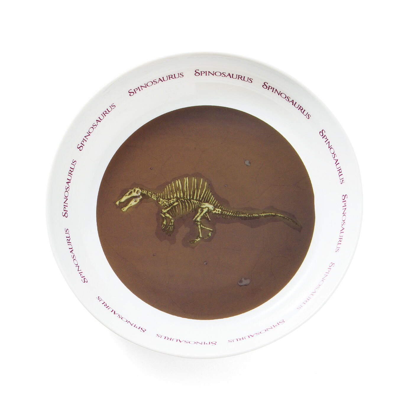 YOU＋MORE！［ユーモア］|YOU＋MORE！　食事中にまさかの発見　恐竜の化石発掘カレー皿の会|〈スピノサウルス〉