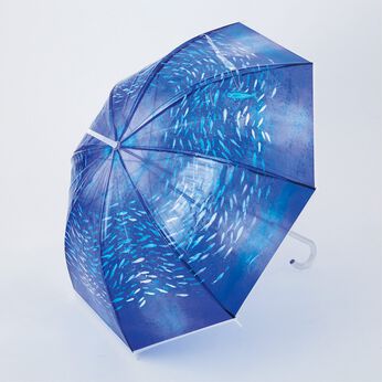 YOU+MORE! | まるで水族館イワシトルネードの傘