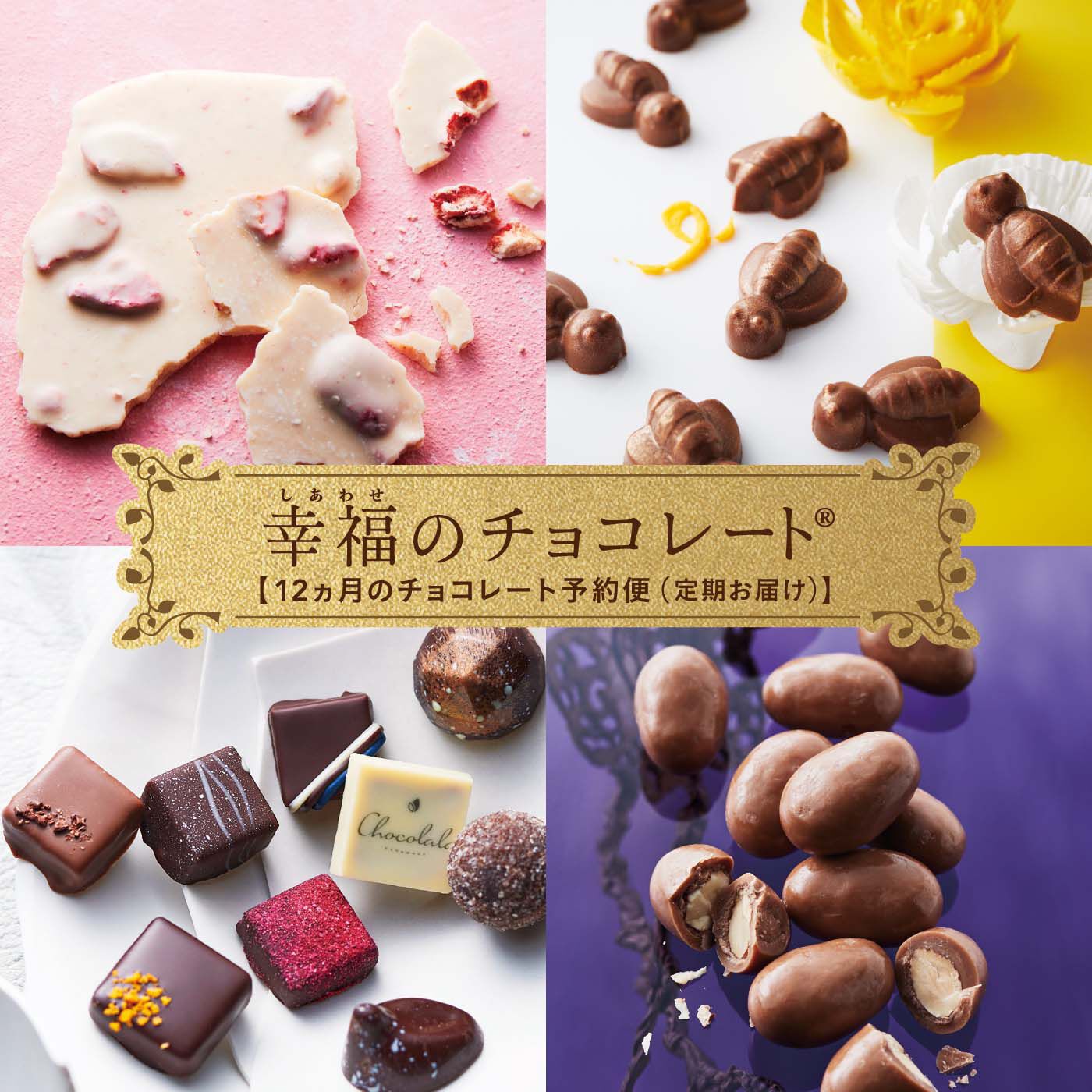 幸福のチョコレート|幸福のチョコレート メンバーサロン　シルバーメンバーコース 〈12ヵ月コース〉