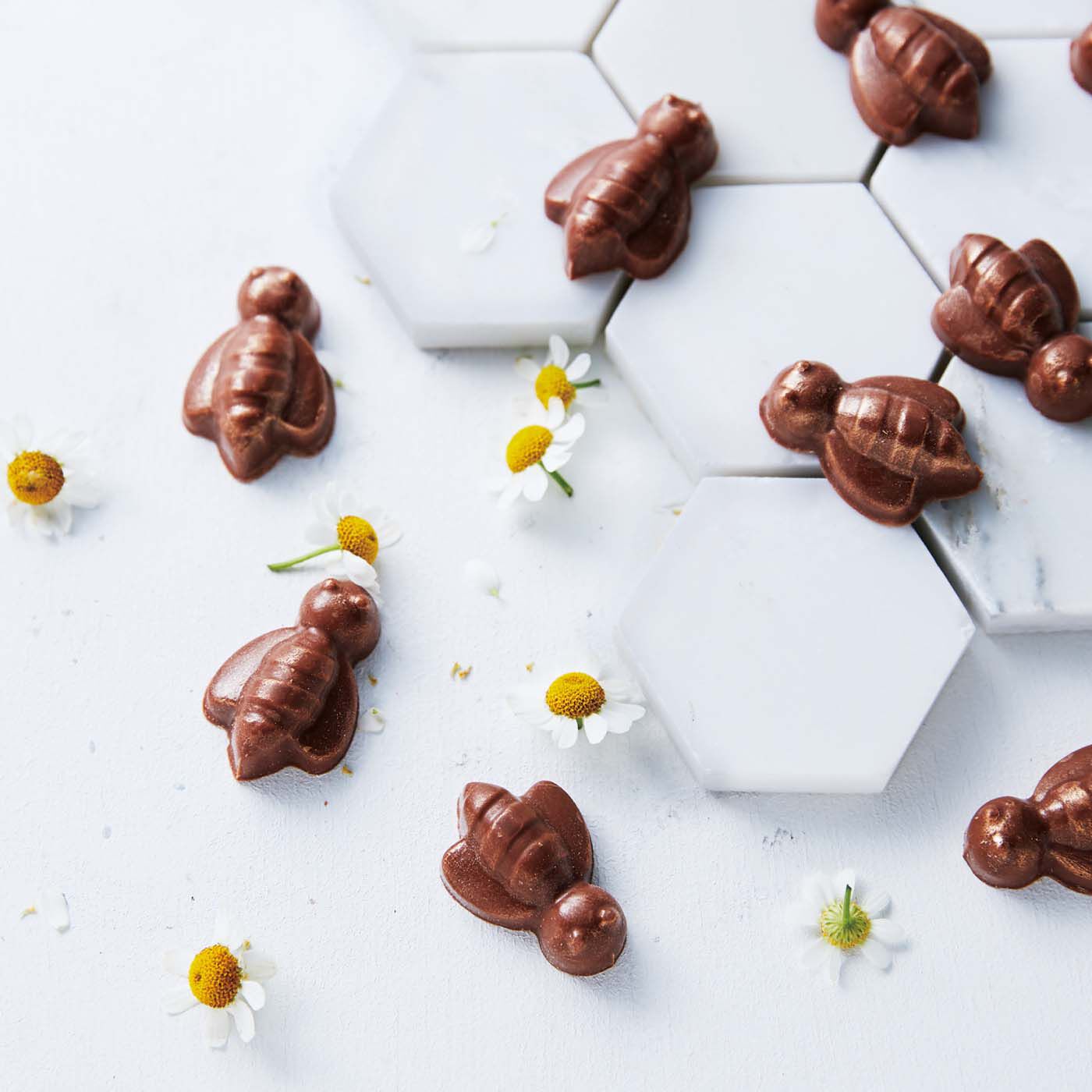 幸福のチョコレート|【9月便】スロベニアの “リュシファー”　はちチョコアイスとはちみつトロリセット