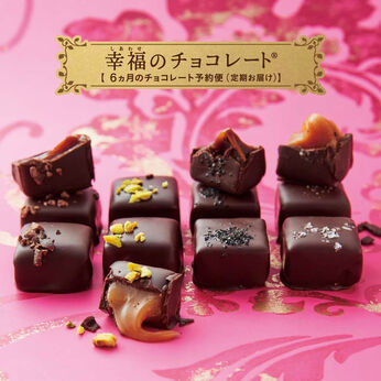 幸福のチョコレート | 幸福のチョコレートサロンマニア６ヵ月ＷＥＢ後半