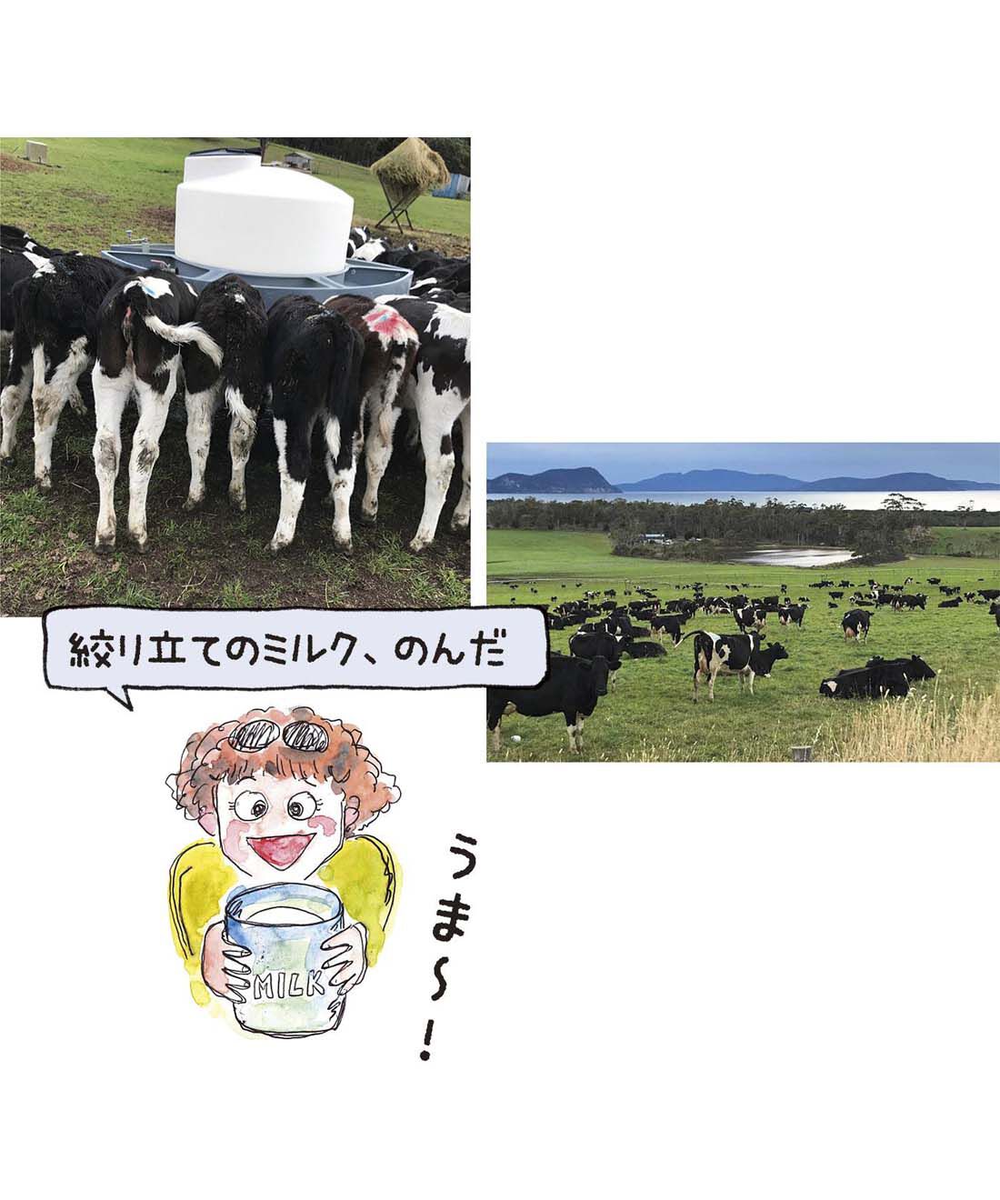 幸福のチョコレート|【バレンタイン便】コールリバーファーム　ベリーココナツチョコ