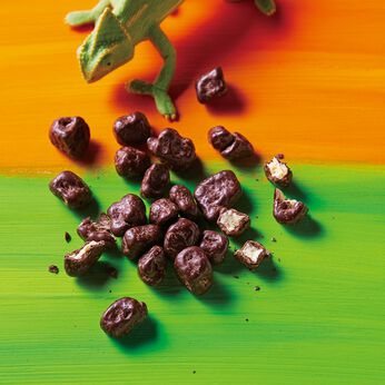 幸福のチョコレート | ル　キャメレオン　チョコラーテ　パイナップル