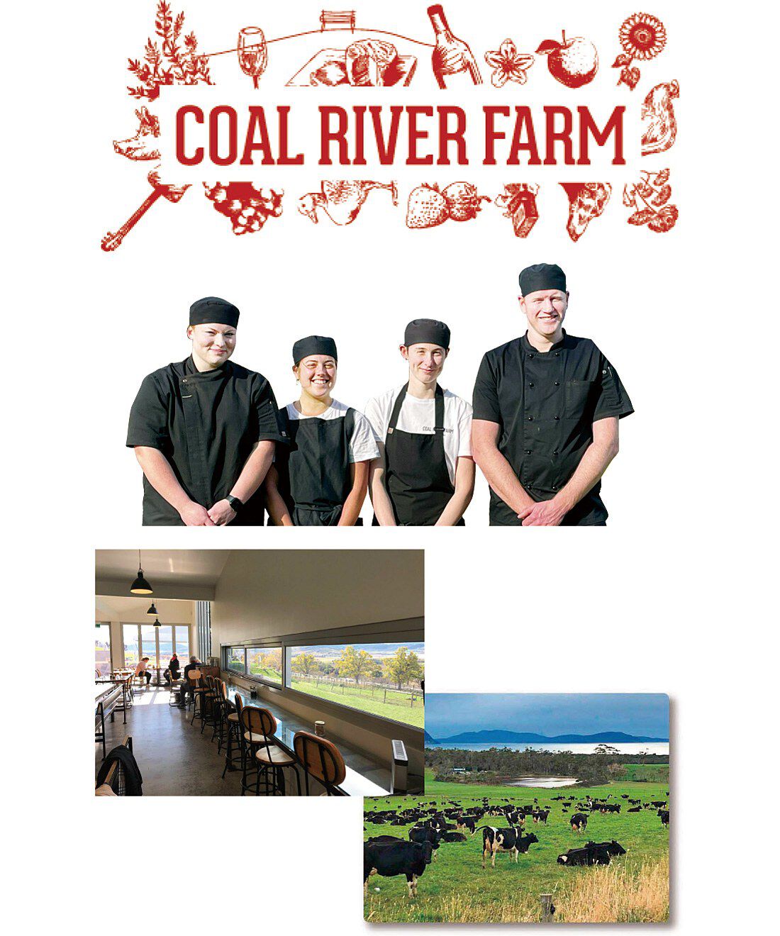 幸福のチョコレート|【バレンタイン便】コールリバーファーム　ベリーココナツチョコ