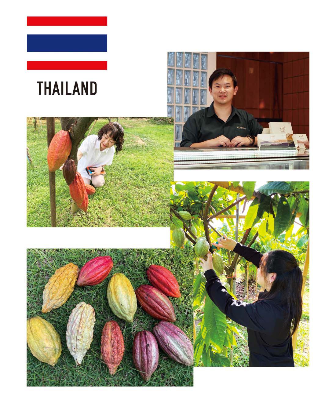 幸福のチョコレート|【バレンタイン便】カンヴェラ　塩キャラメルトーストとジャスミンライス