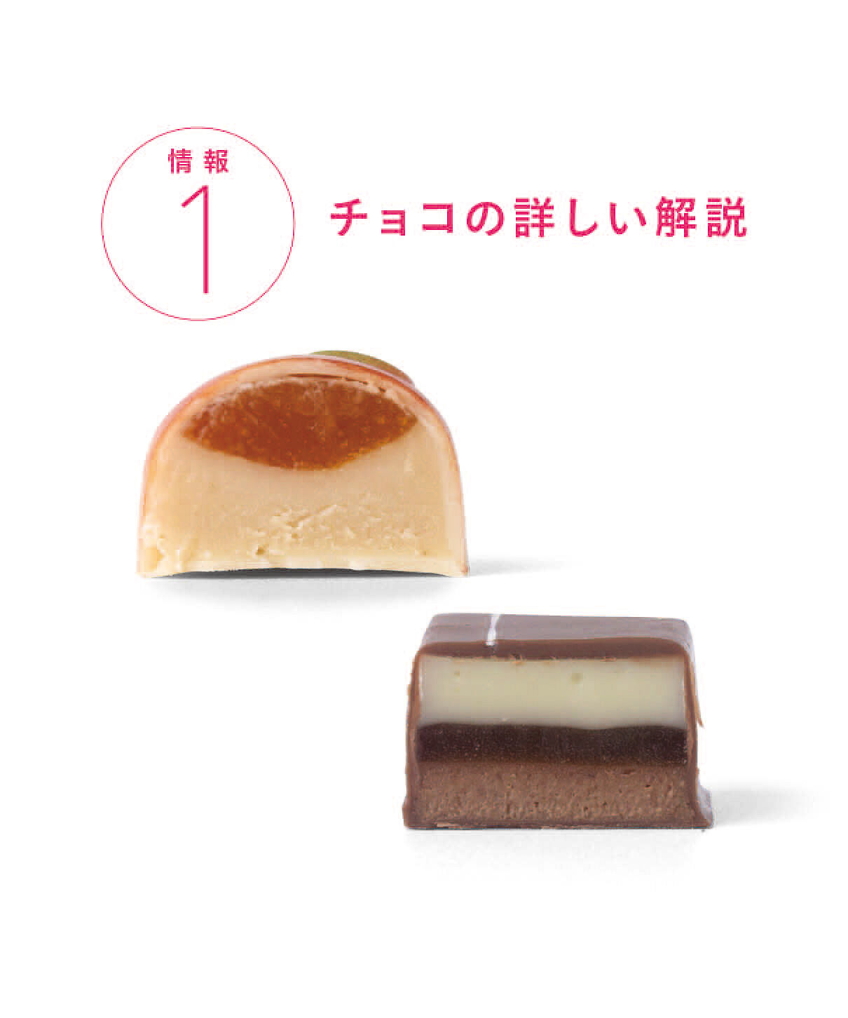 幸福のチョコレート|月に一度のご褒美チョコ 至福のチョコライフ予約便 〈6ヵ月コース〉|お届けするチョコレートひとつずつについて、推しポイントをまじえながら独自解説！