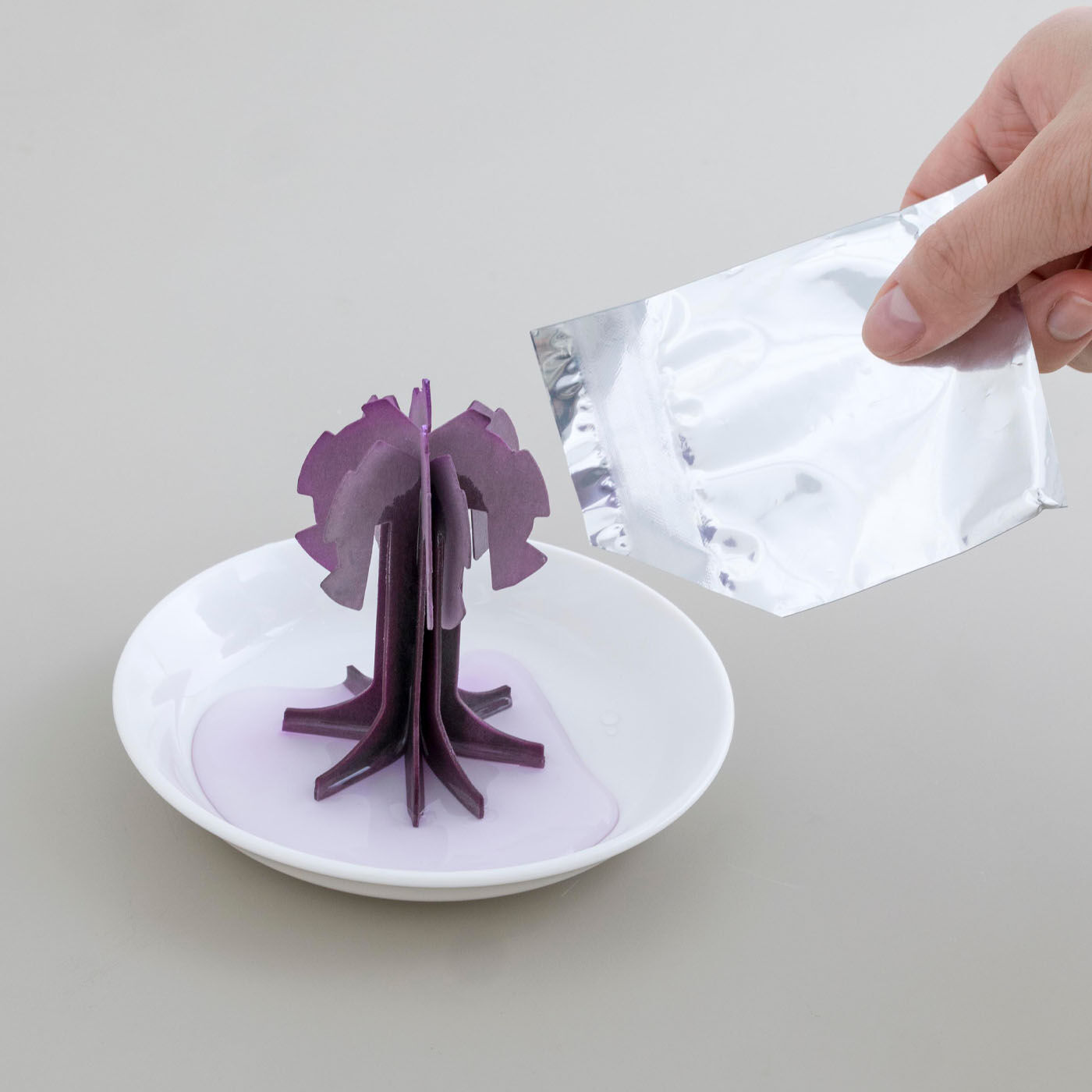SeeMONO|デスクに咲く不思議なペーパーオブジェ〈桜〉|付属のお皿にモチーフを広げて立てて、液剤を垂らすだけ。