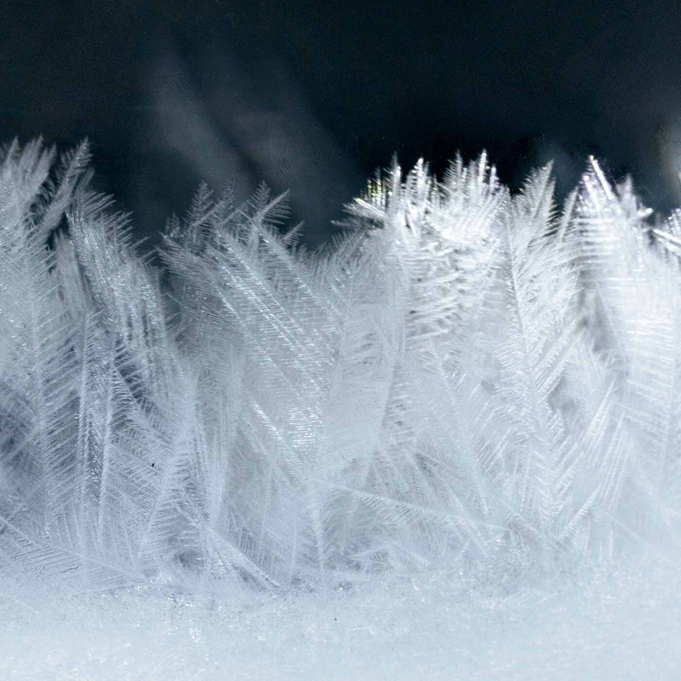 SeeMONO|旭山動物園・ボルネオの森応援商品　ＳｅｅＭＯＮＯ　天気によって結晶が変化するホッキョクグマのストームグラス|ふわふわの羽毛のような結晶。日ごとの変化も楽しみに。