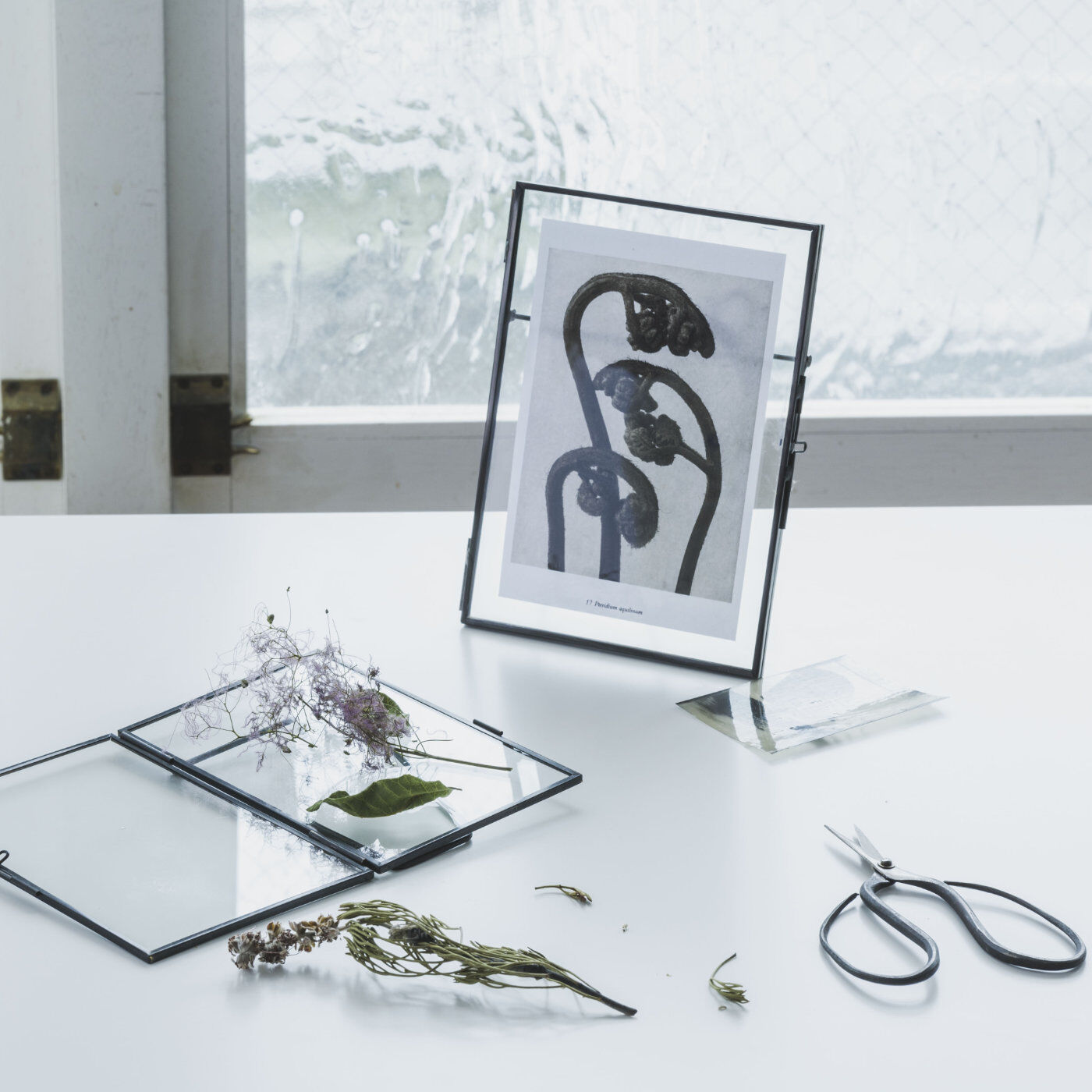 思い出をガラスに挟んで飾るフォトフレーム〈M〉｜SeeMONO