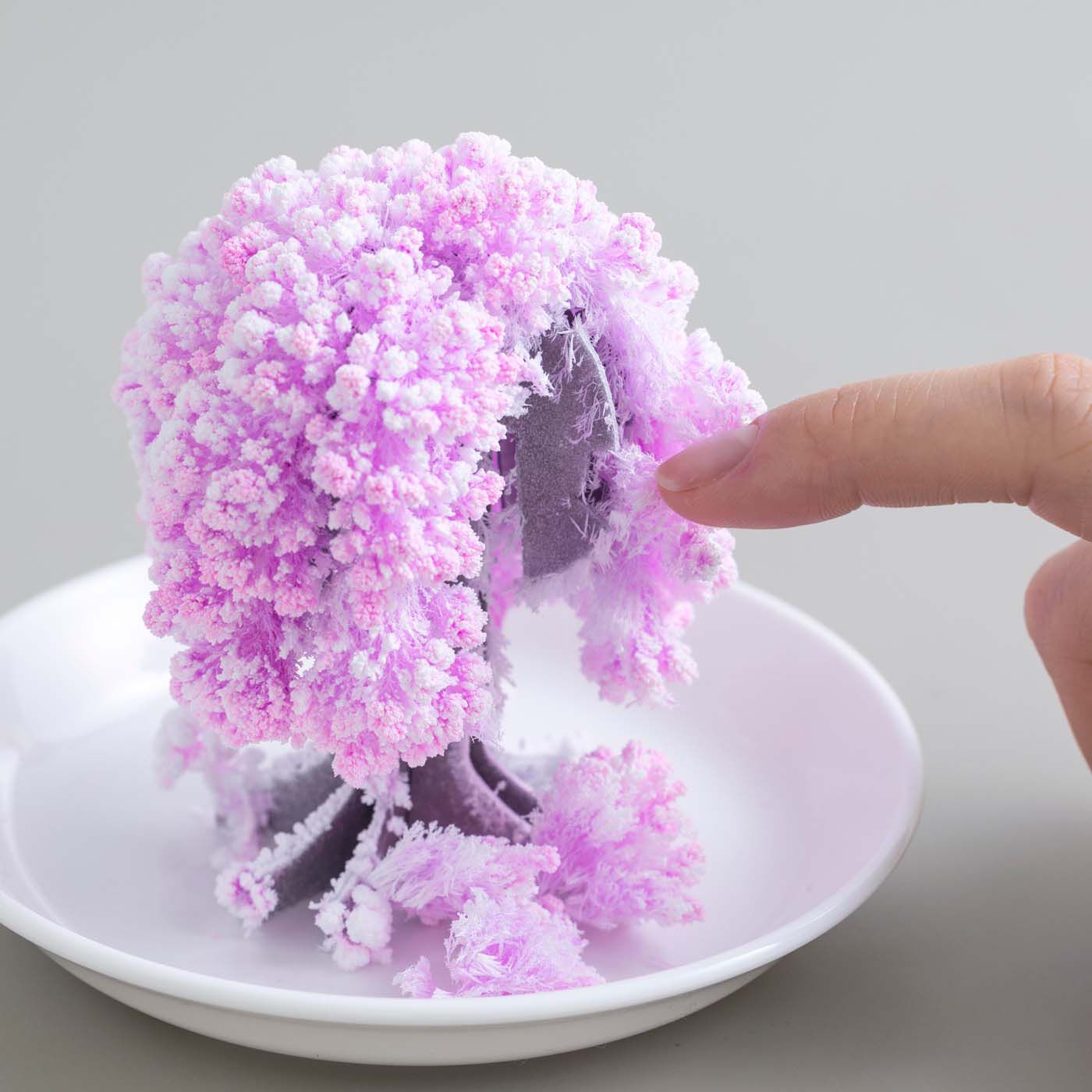 SeeMONO|デスクに咲く不思議なペーパーオブジェ〈桜〉|指で触ると壊れてしまう儚さですが、お皿に水を足すことで3～5回ほど繰り返し咲かせることができます。