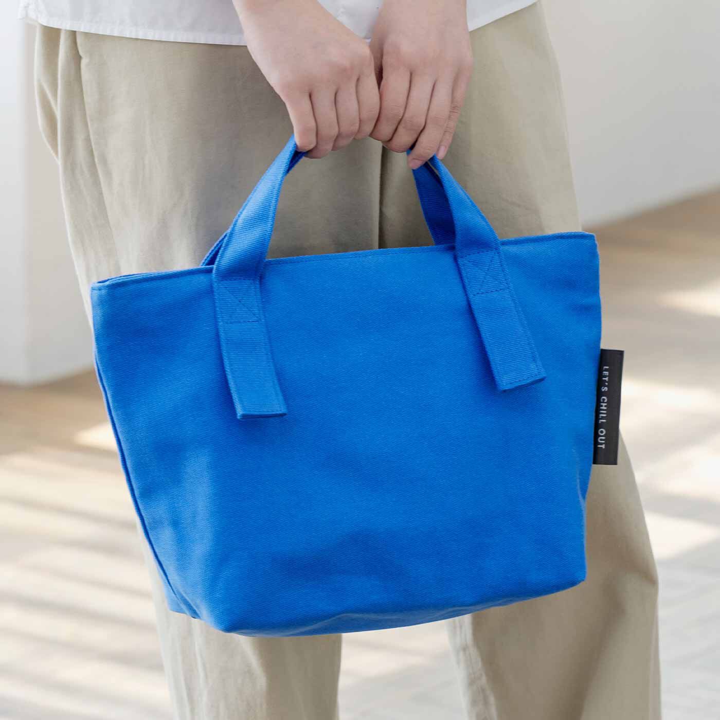 ウィンドウペンチェックが新鮮な 倉敷製帆布のDAY TRIPトート