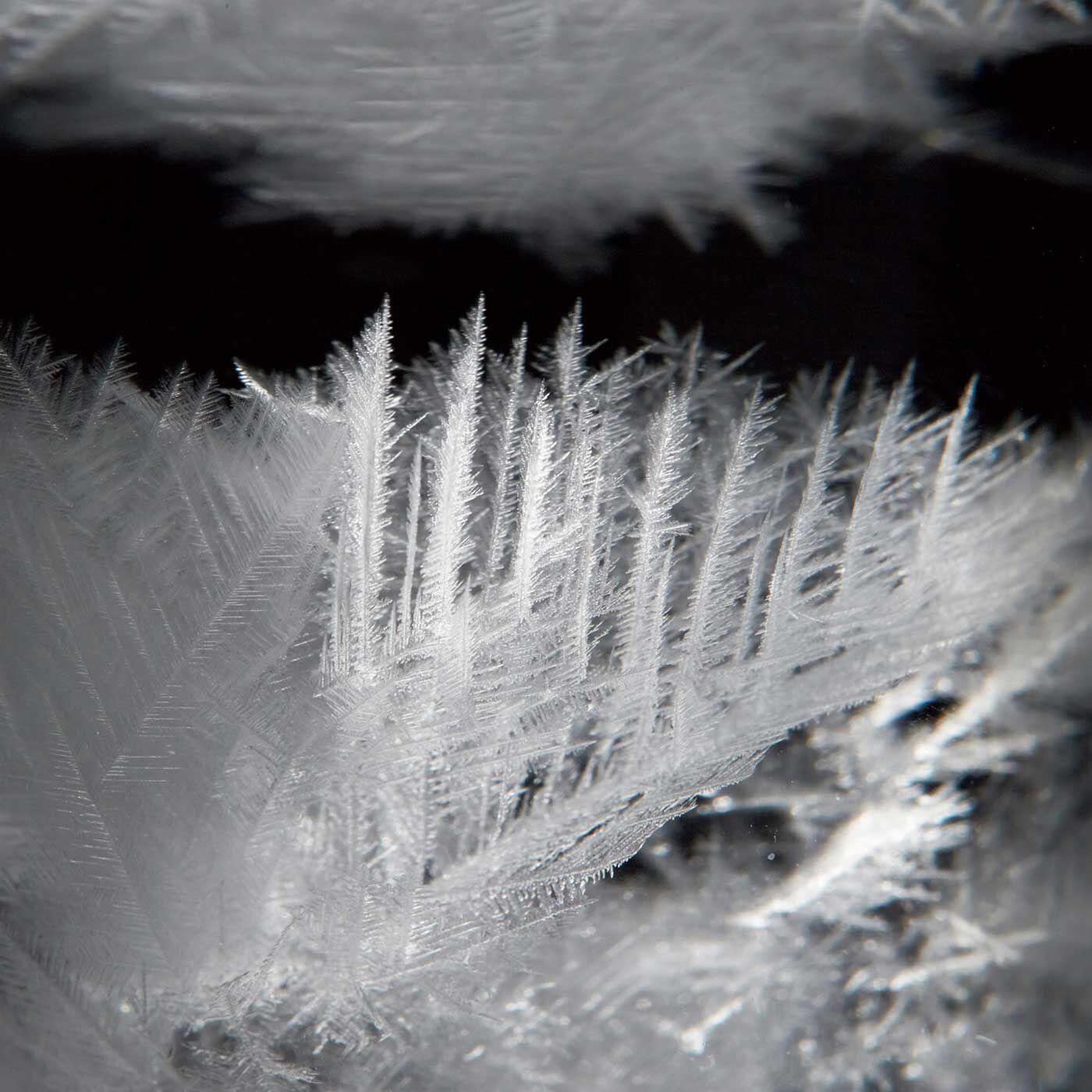 SeeMONO|結晶の変化が楽しみに 雪だるまの形をしたストームグラス