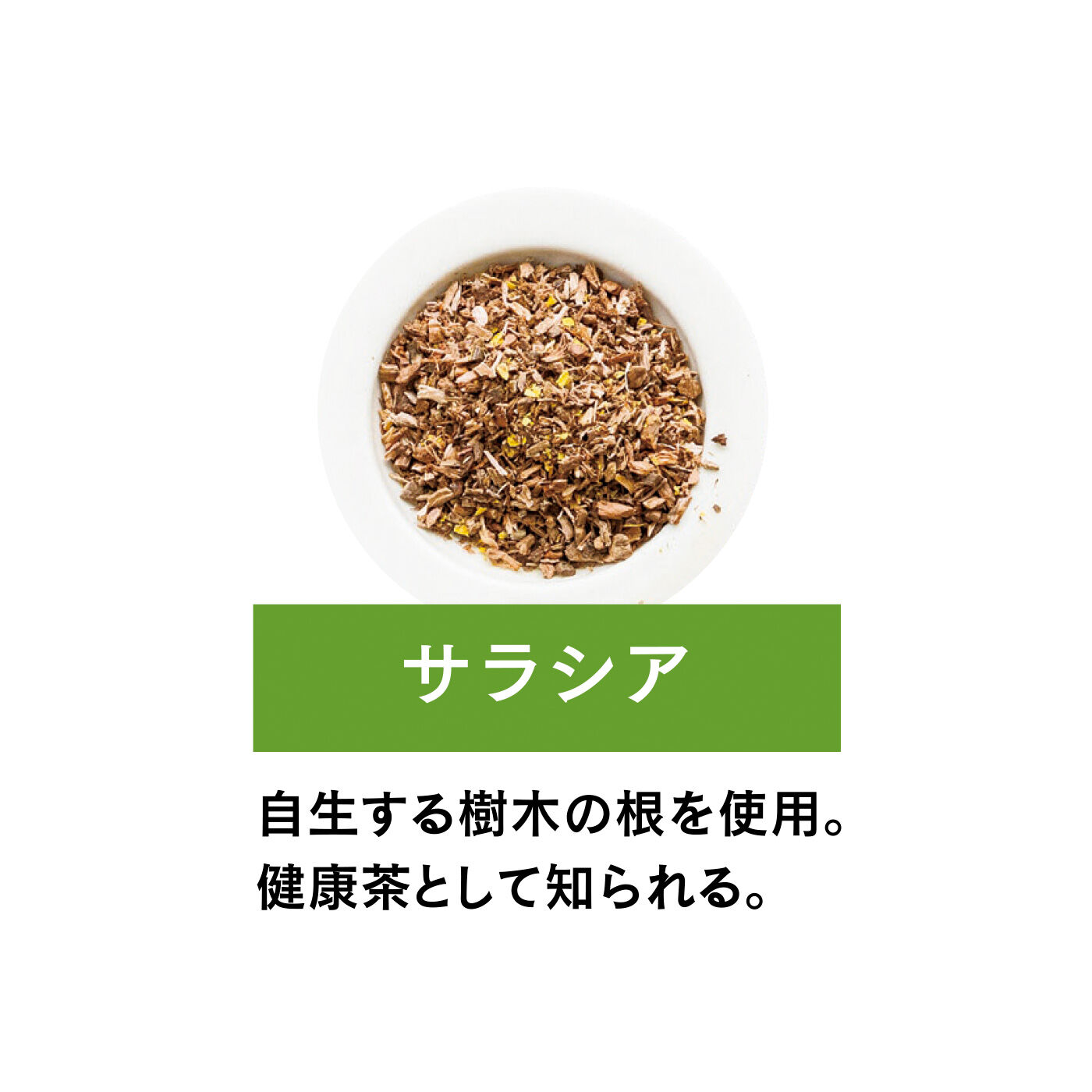 FELISSIMO PARTNERS|毎日の習慣に MURAMO スッキリほうじ茶の会