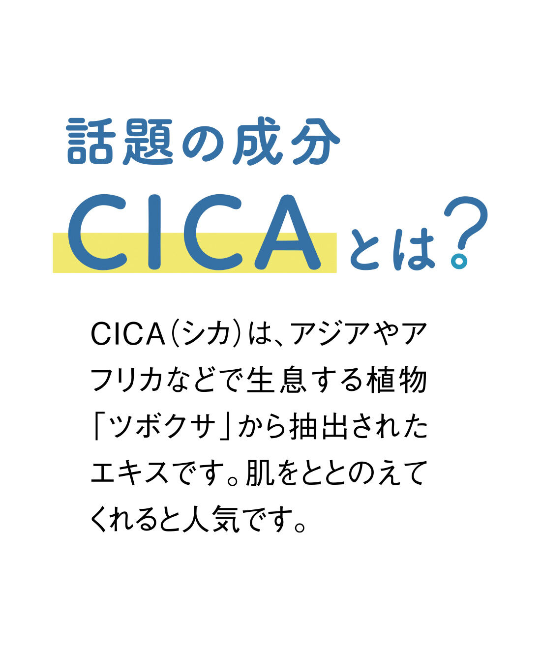 FELISSIMO PARTNERS|CICA（シカ）とうれしい成分が入った 無漂白コットン100％のフェイスシートマスクの会（4回予約）