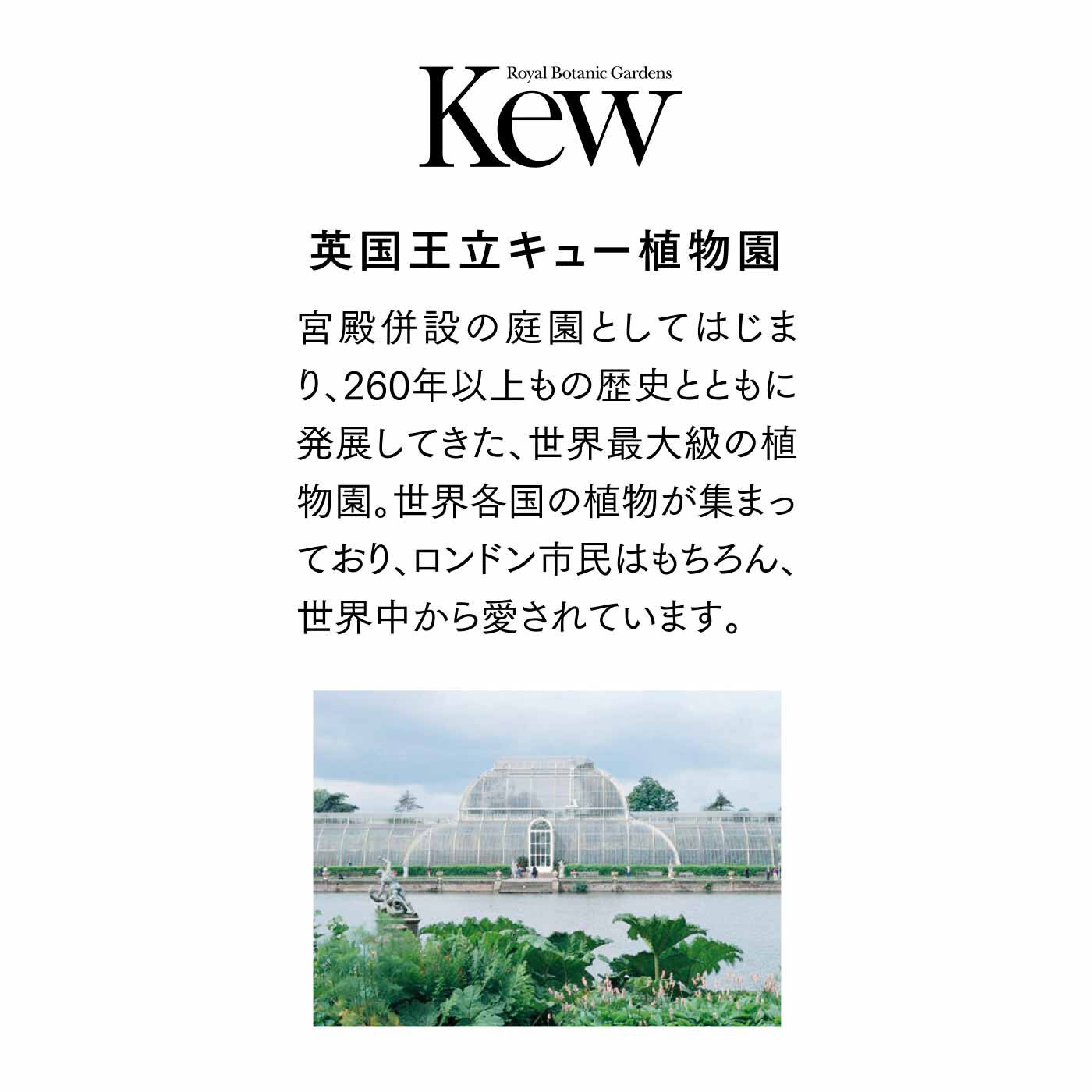 FELISSIMO PARTNERS|Kew（キュー）ガーデン エッセンシャルオイルのロールオンアロマの会（5回予約）