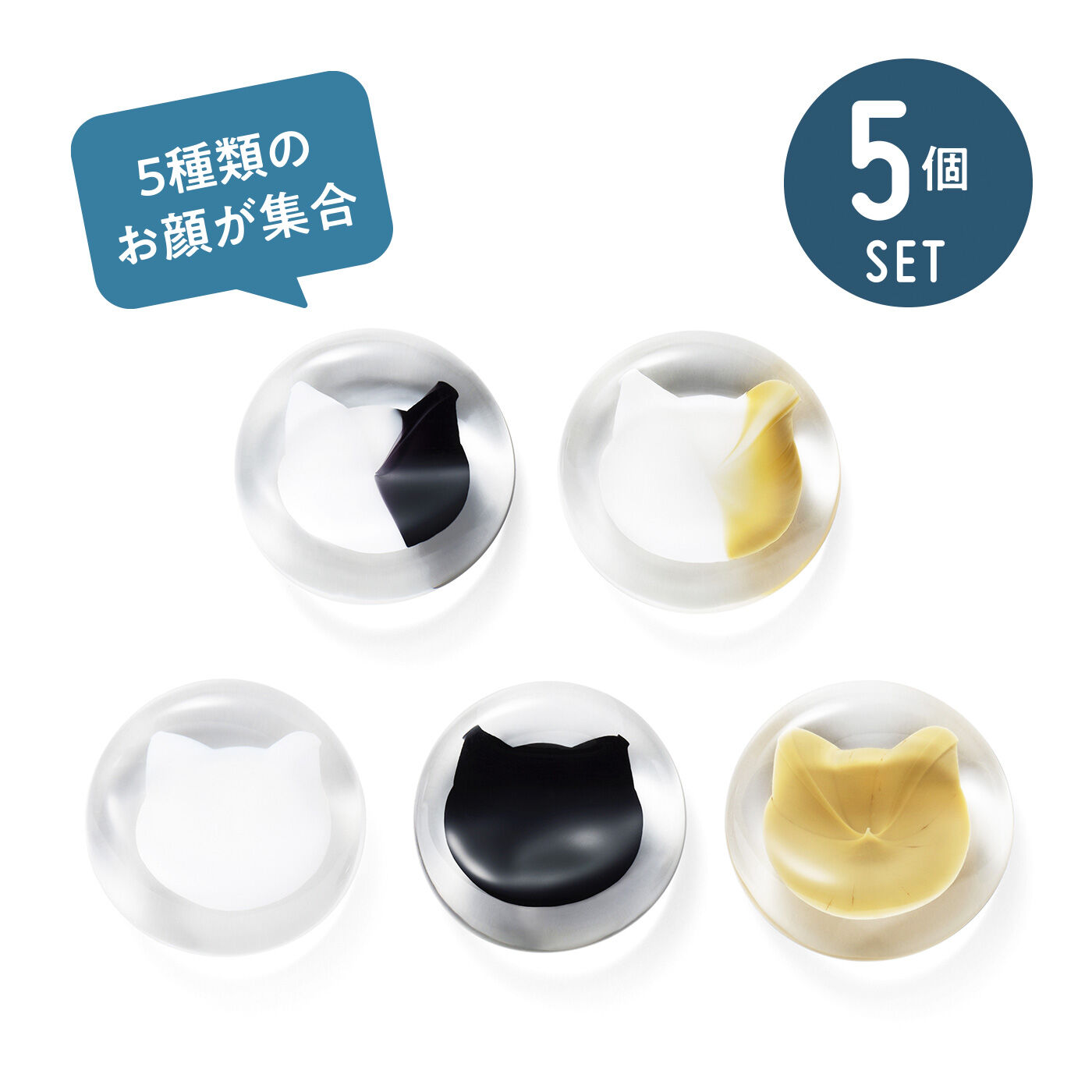 ネコのペン立て　5個　猫の置物　フィギュア　雑貨　白　黒　三毛　茶トラ　サバトラ