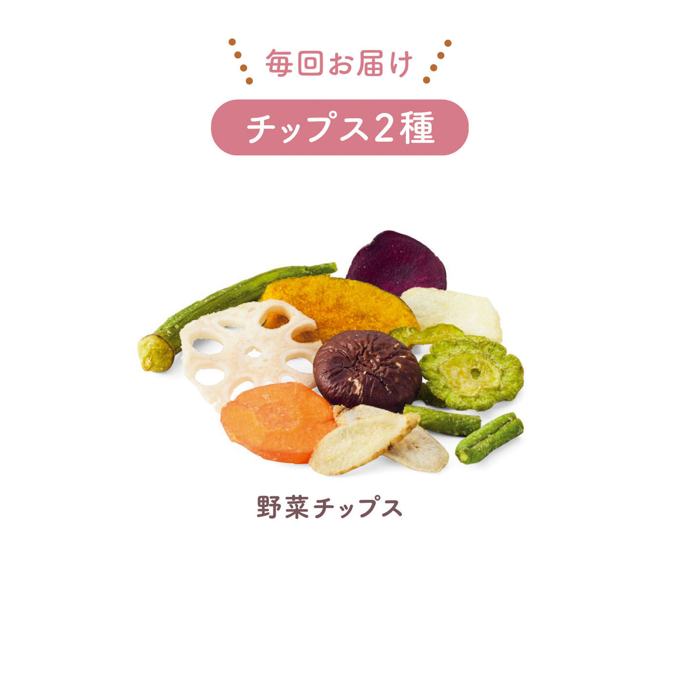 FELISSIMO PARTNERS|チップスとドライで満喫 つまめるベジ＆フルーツの会（6回予約）|ゴーヤ、おくら、紫芋、かぼちゃ、にんじん、れんこん、いんげん、ごぼう、玉ねぎ、しいたけ。10種のチップス入り。