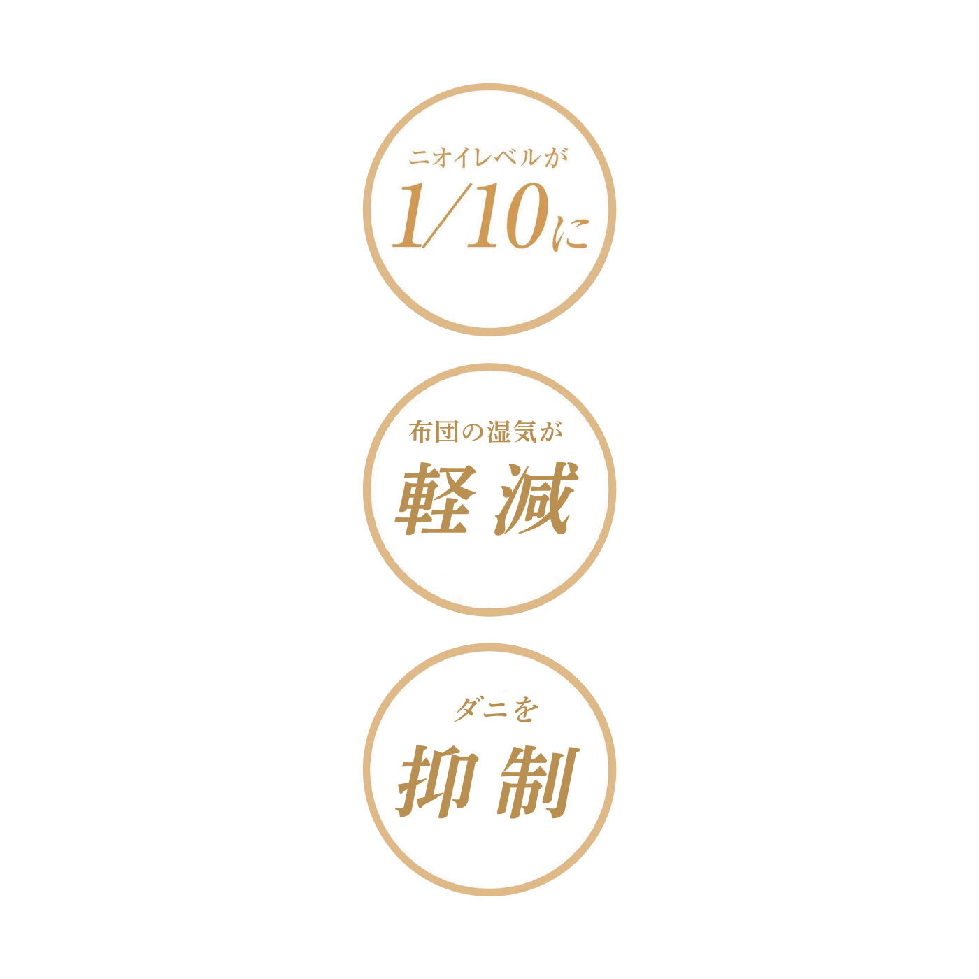 FELISSIMO PARTNERS|暮らしの湿害を緩和 においにも効く調湿木炭「炭八」の会（6回予約）