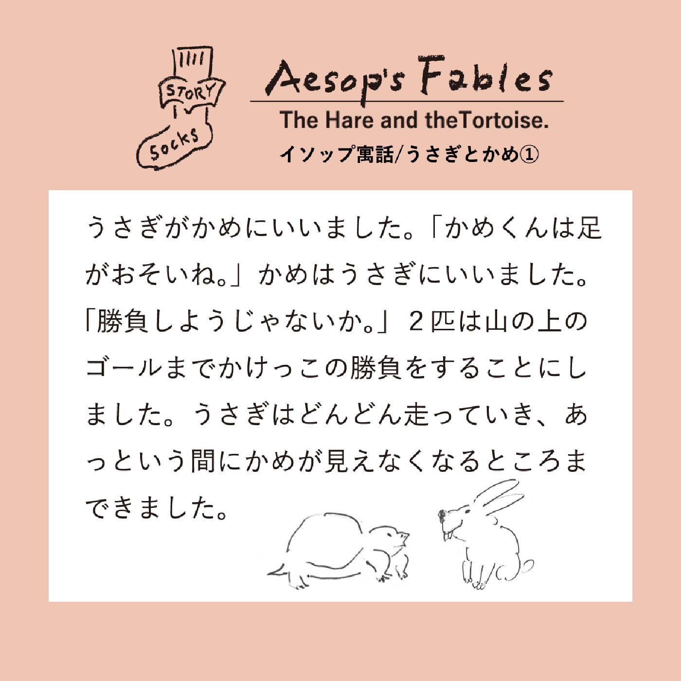 FELISSIMO PARTNERS|ストーリーソックス　うさぎとかめ