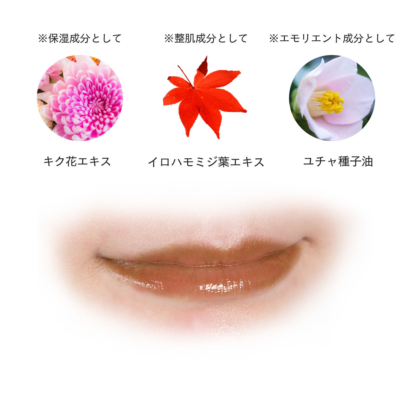 FELISSIMO PARTNERS|上羽絵惣　京の絵具屋の口紅　京花舞口紅|※画像はイメージです。