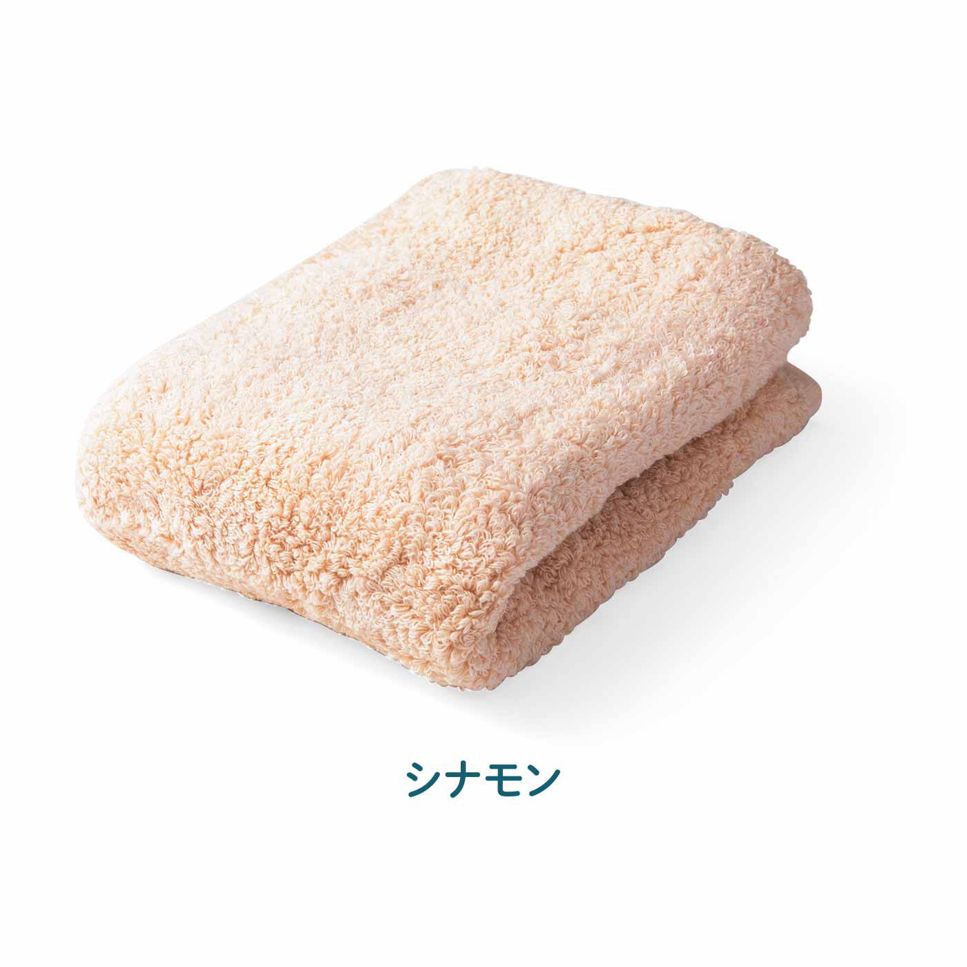 FELISSIMO PARTNERS|OBORO TOWEL（オボロタオル） バスタオル卒業宣言 ハンガーで干せるハーフバスタオルの会（6回予約）
