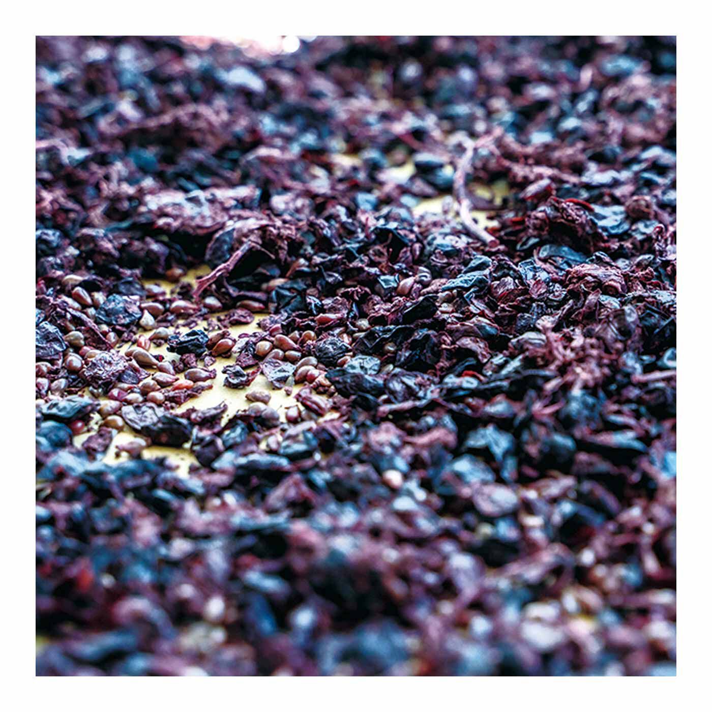 FELISSIMO PARTNERS|アトリエ ヌウ Lezza botanica（R） vino スマートロングウォレット|国産ワインの搾りかすを再利用して染めています。
